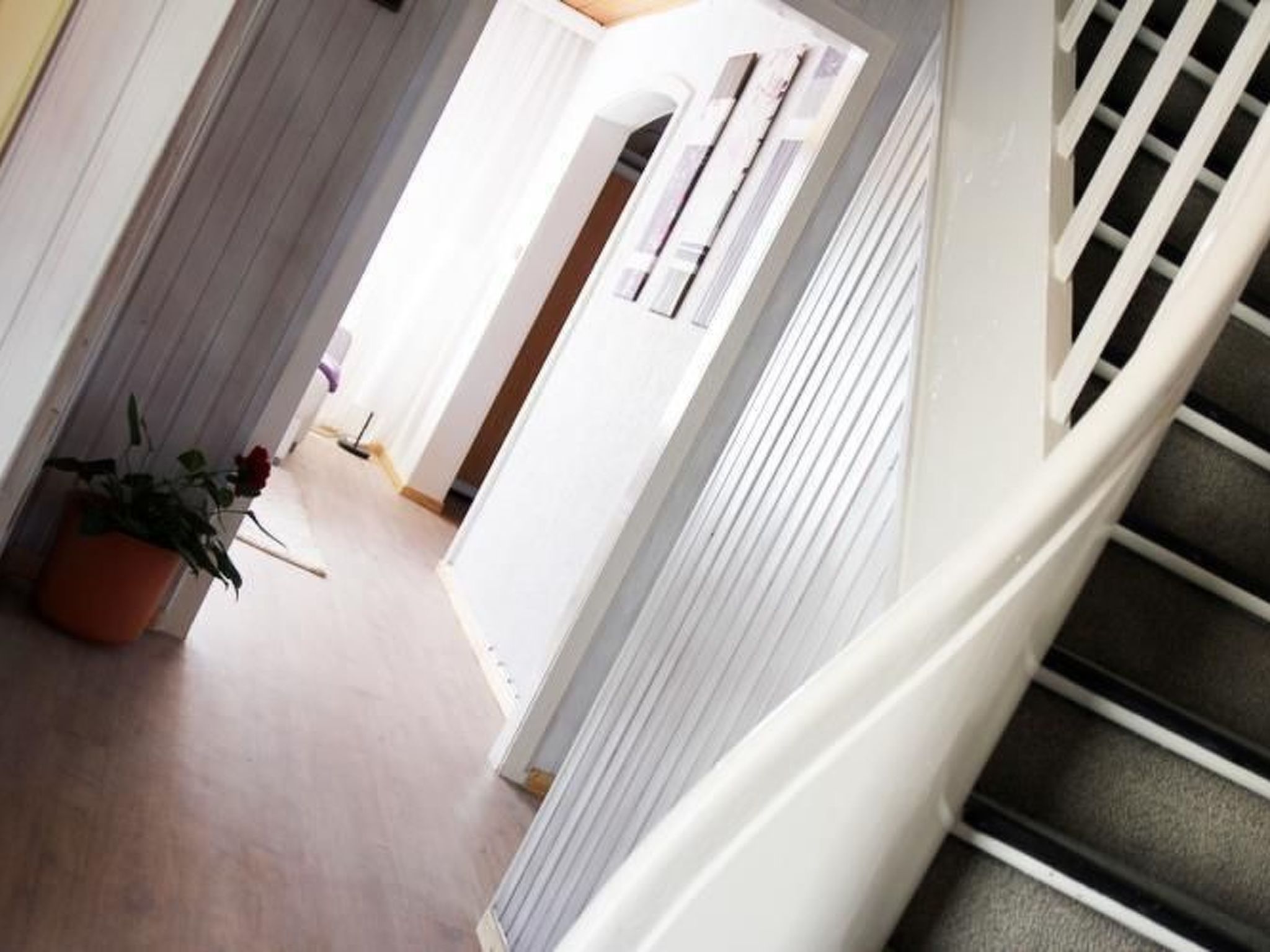 Käthe-Image-tags.info