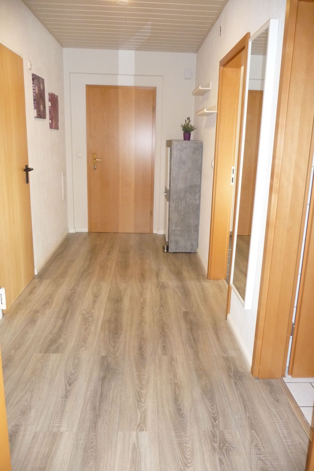 Apartment mit Hund-Binnen