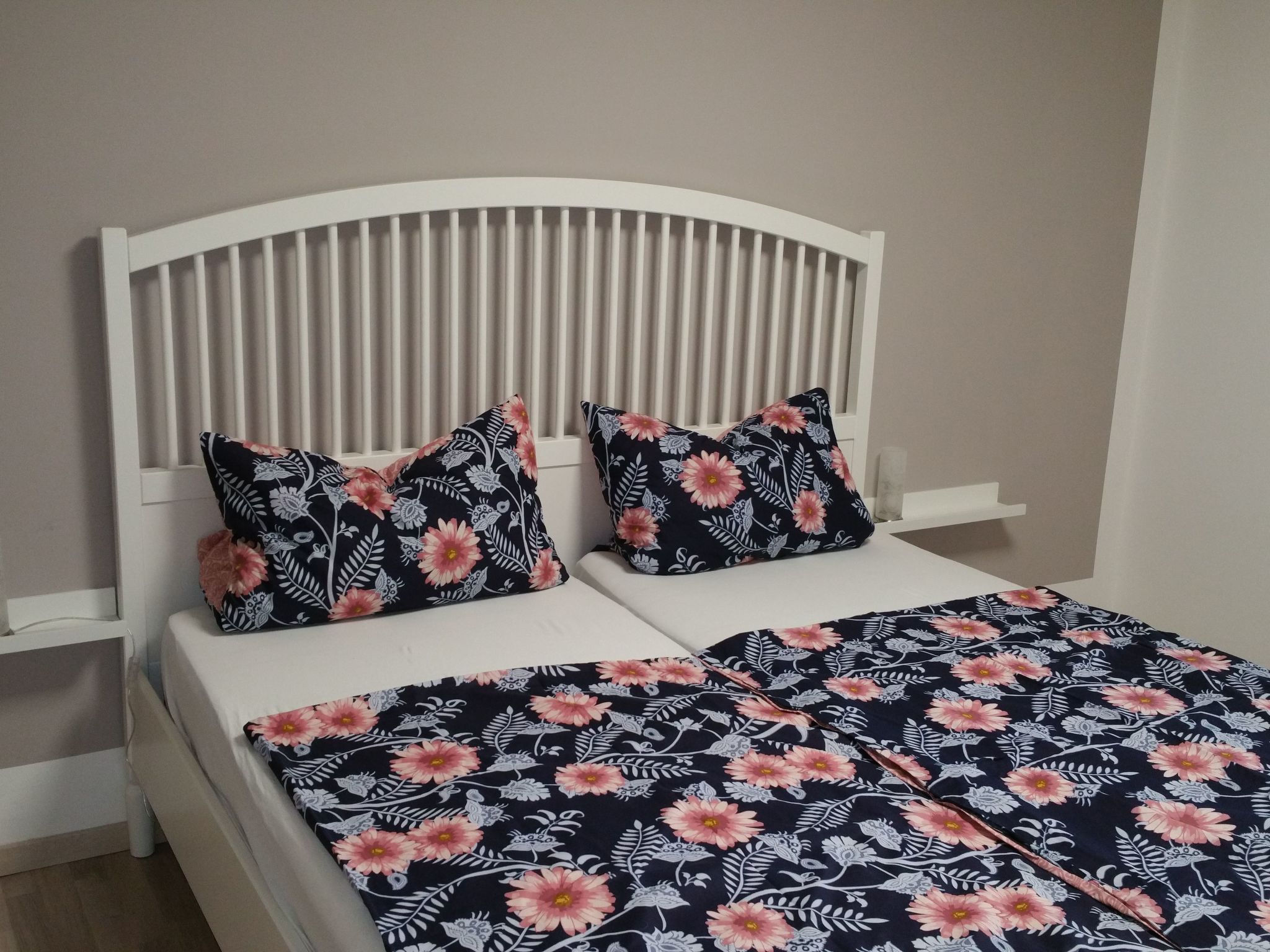 Apartment mit Hund-Binnen