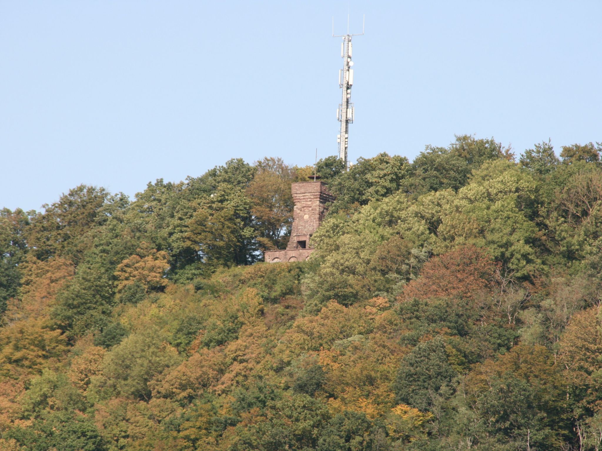 Apartment mit Hund-Binnen