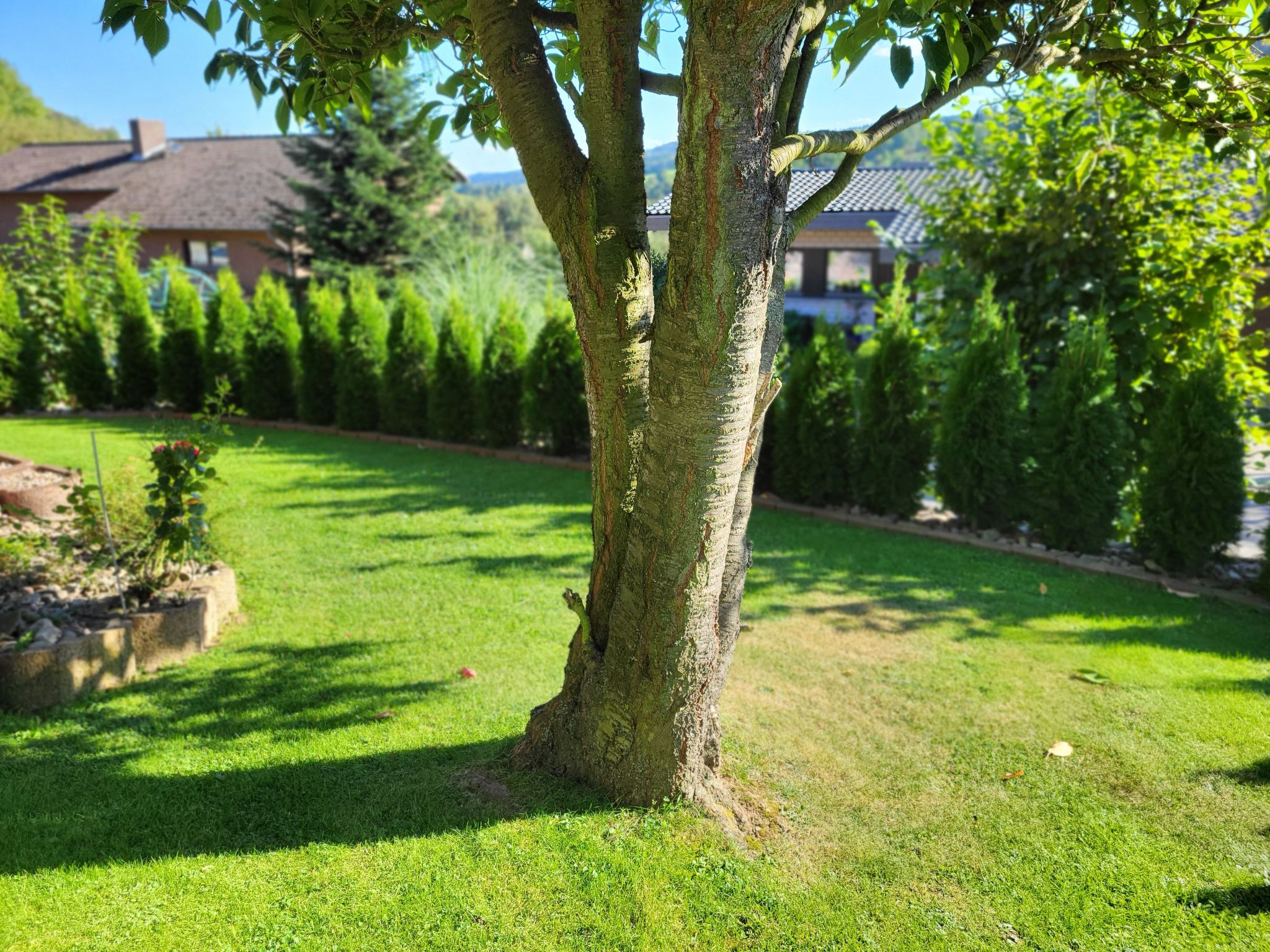 Apartment mit Hund-Binnen