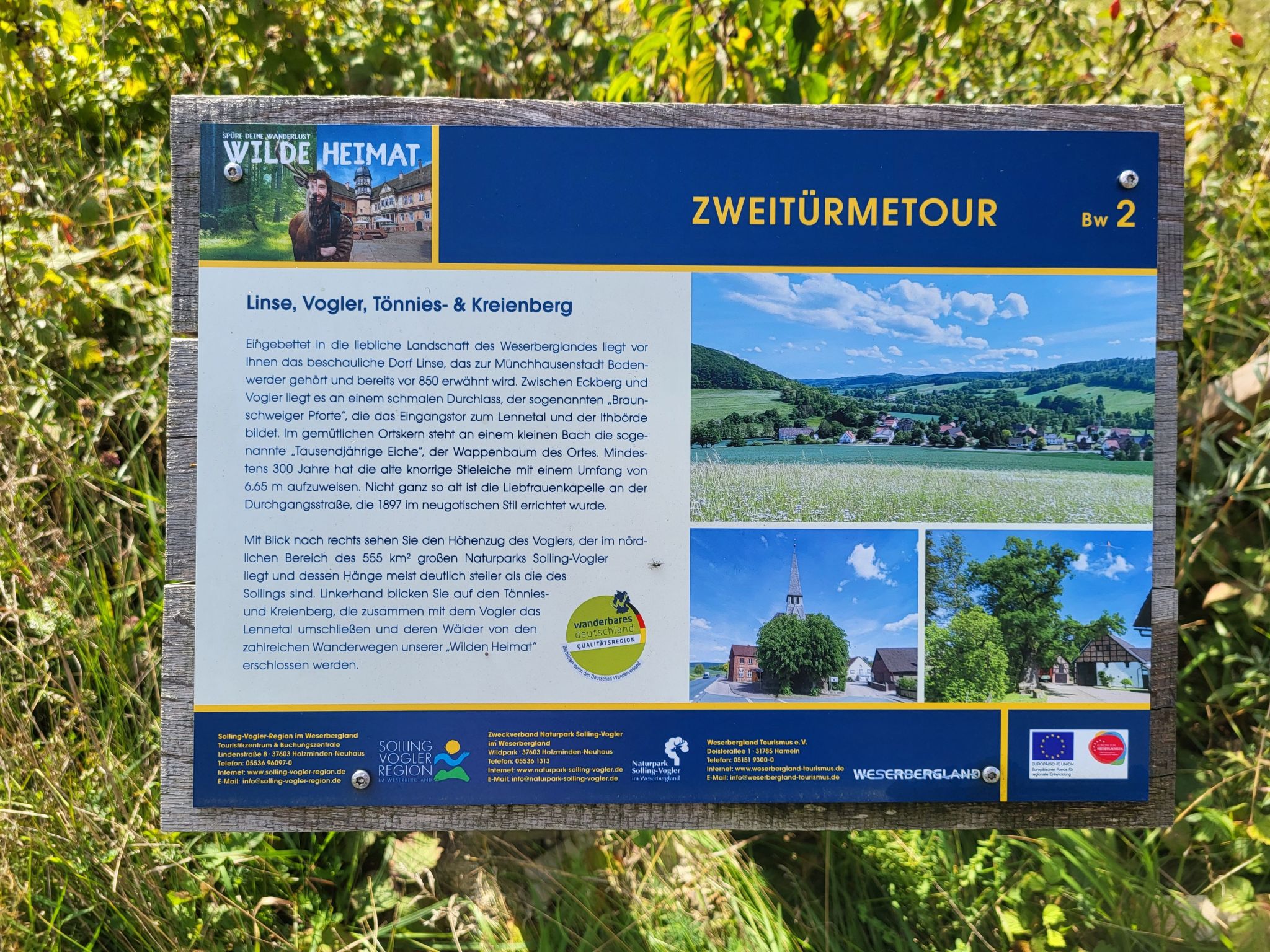 Apartment mit Hund-Binnen