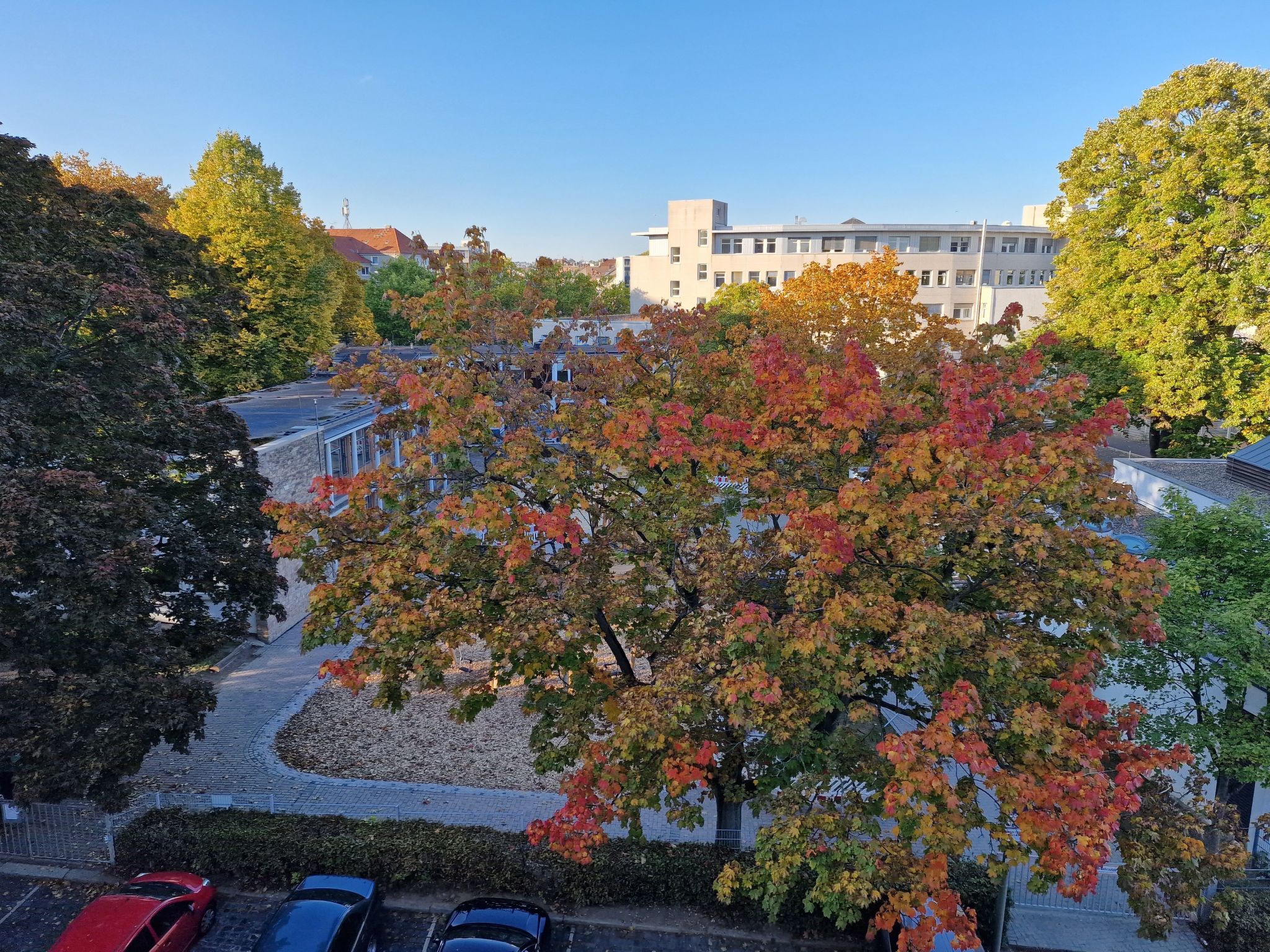 Exklusives und helles Apartment im Zentrum-Image-tags.info