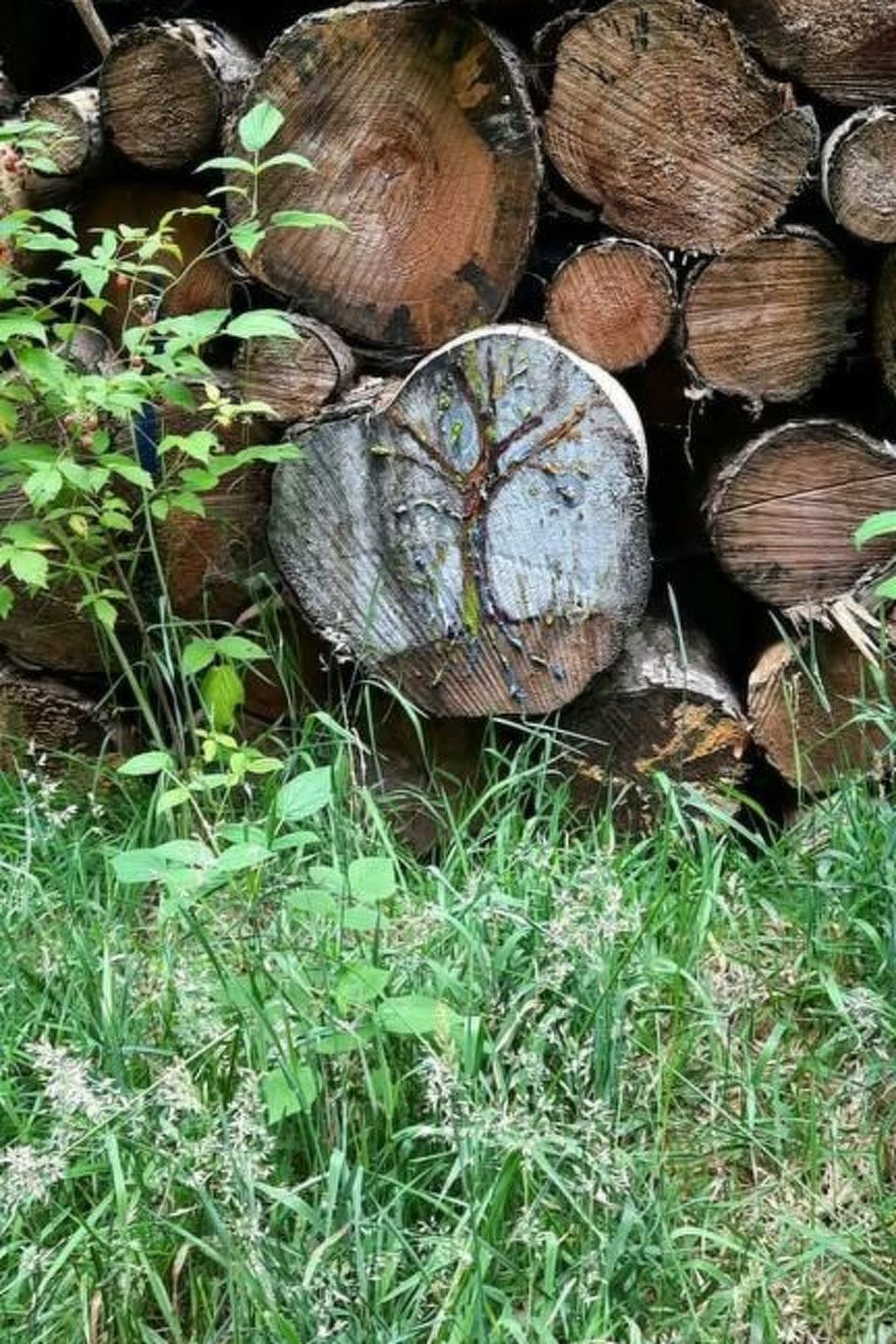 Der Bauerngarten-Image-tags.info