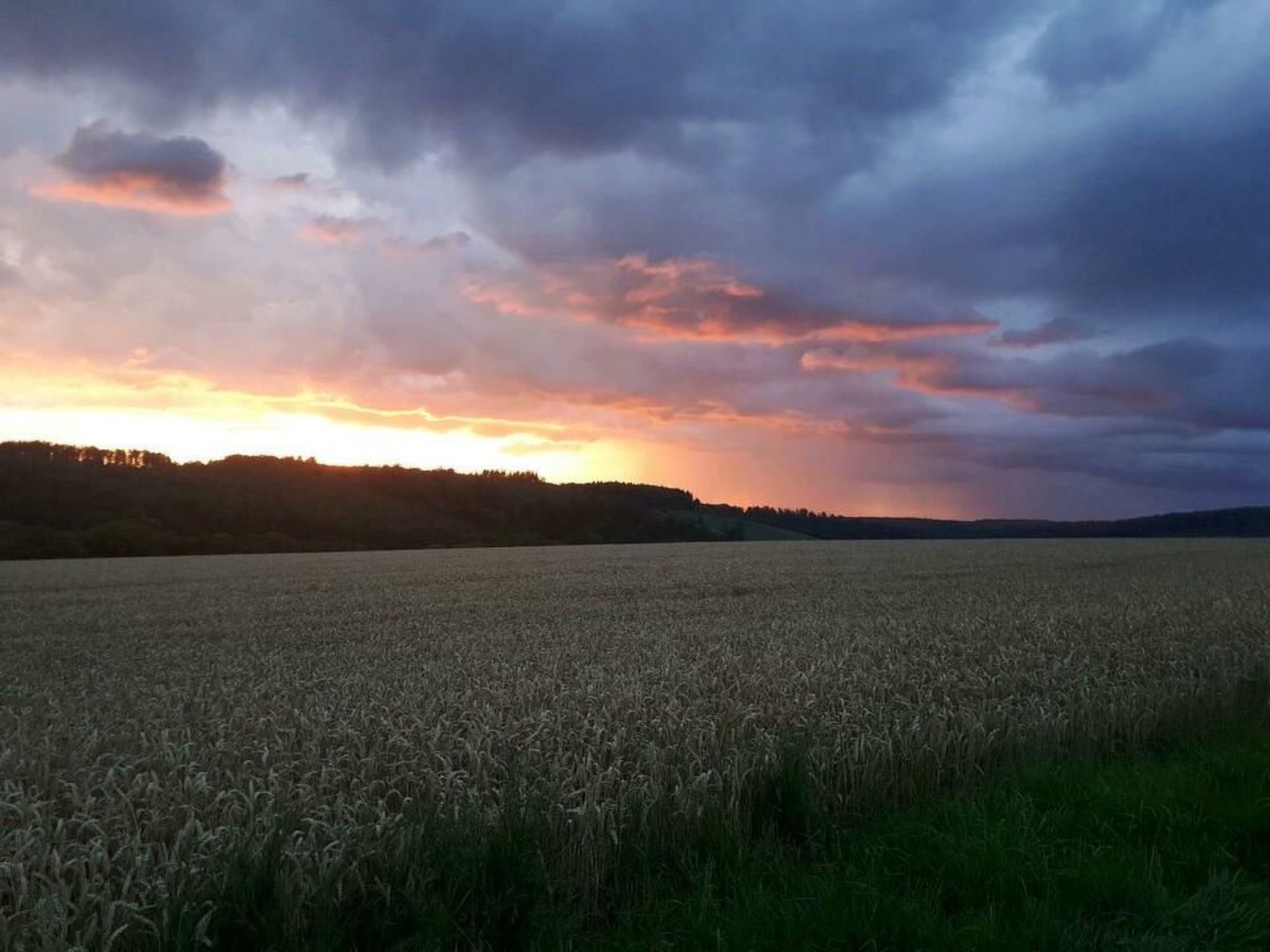 Der Bauerngarten-Image-tags.info