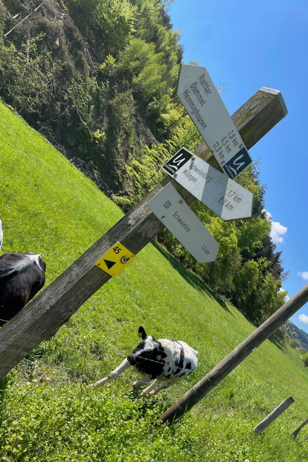 Renovierte Wohnung in Schwalefeld mit Garten, Terrasse und Grill-Image-tags.info