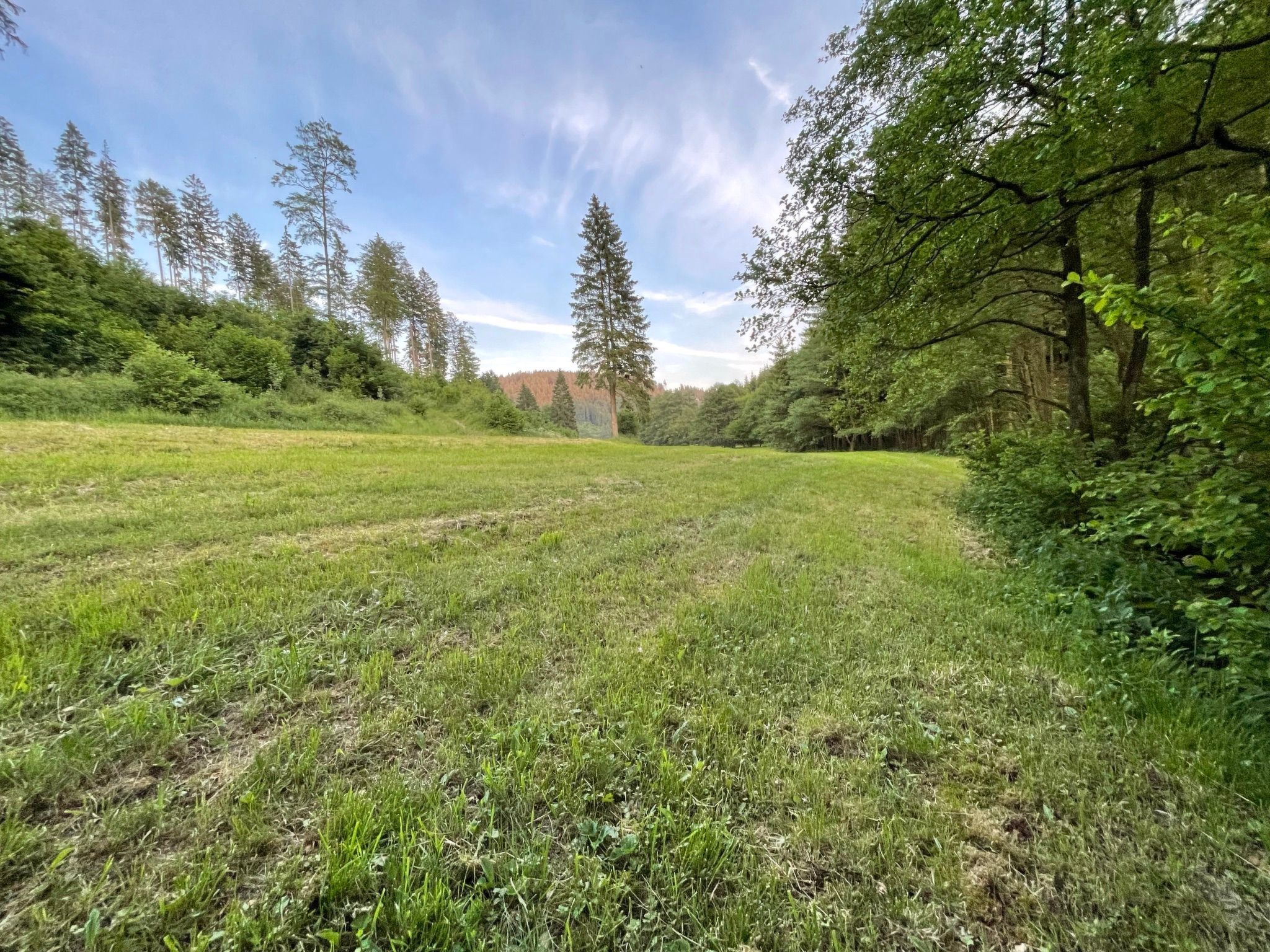 Renovierte Wohnung in Schwalefeld mit Garten, Terrasse und Grill-Image-tags.info