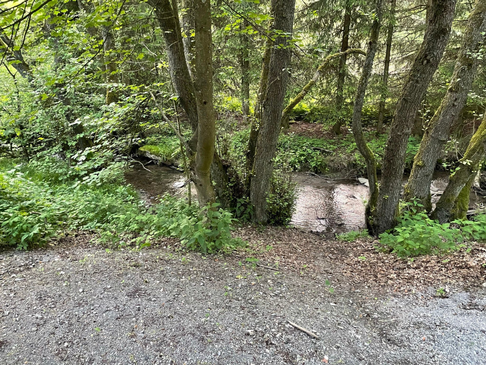 Renovierte Wohnung in Schwalefeld mit Garten, Terrasse und Grill-Image-tags.info