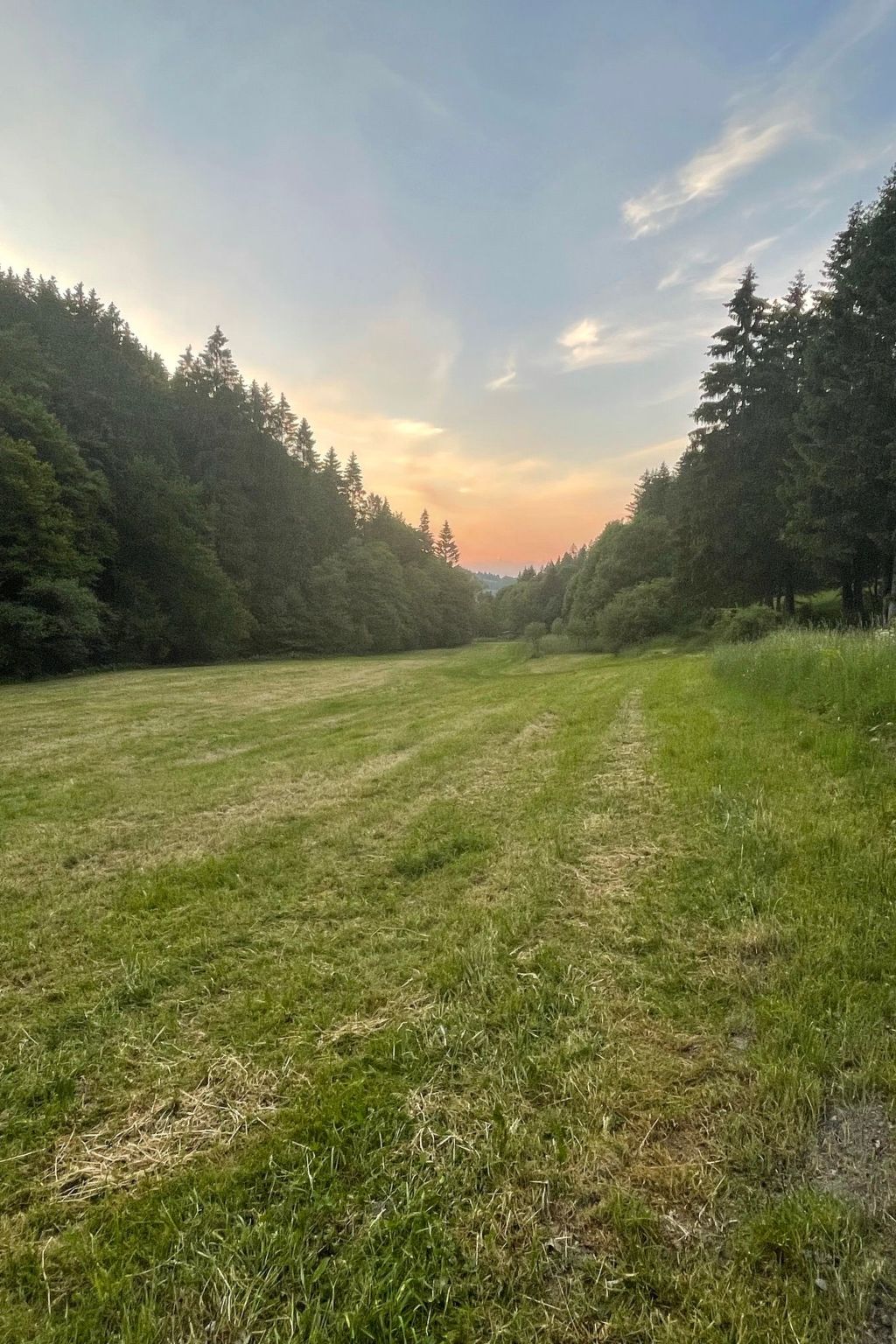 Renovierte Wohnung in Schwalefeld mit Garten, Terrasse und Grill-Image-tags.info