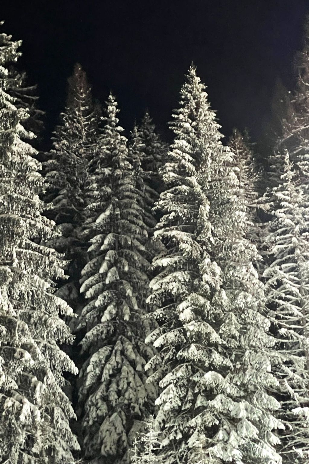 Renovierte Wohnung in Schwalefeld mit Garten, Terrasse und Grill-Image-tags.info