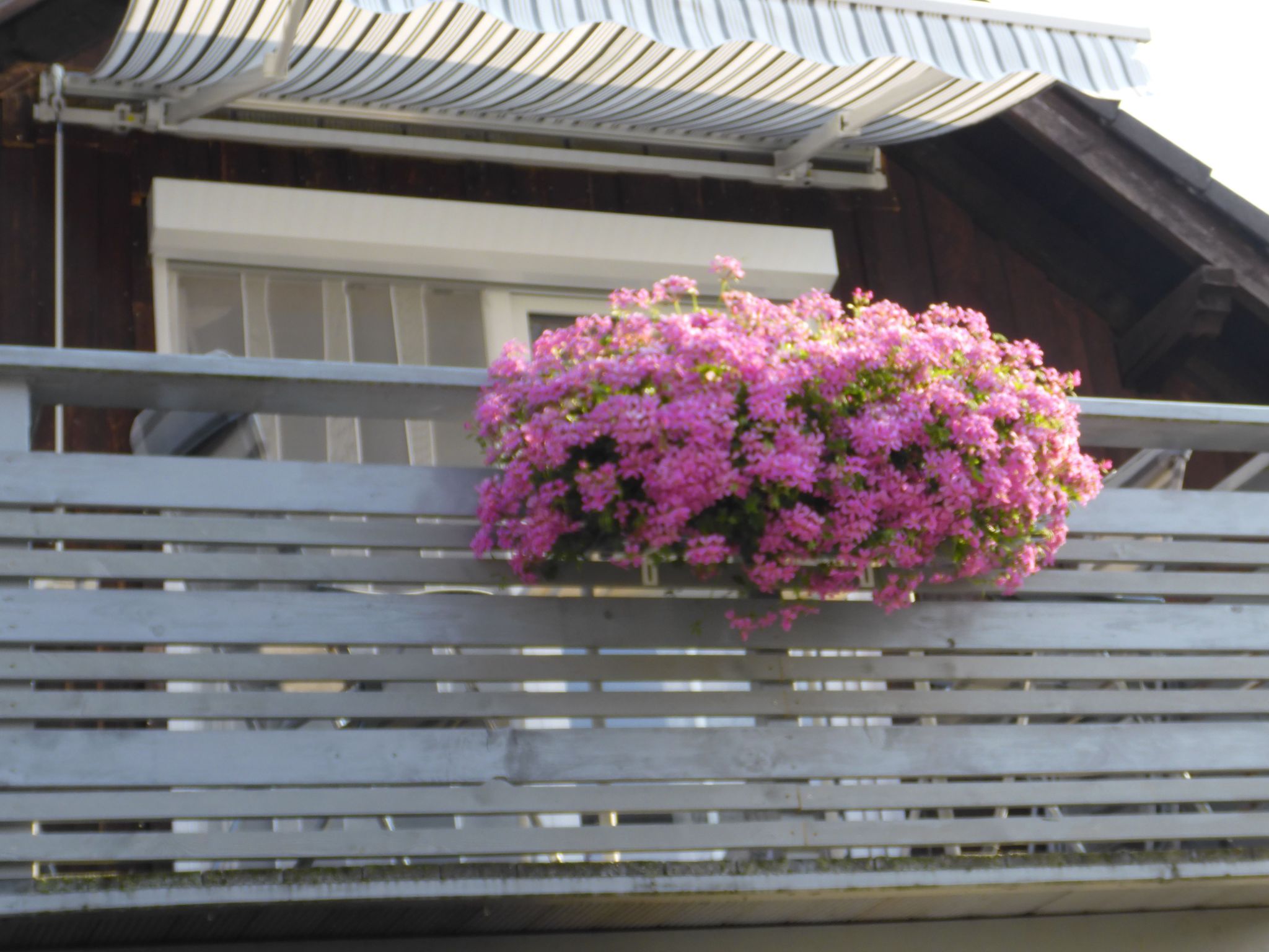 Wohnung in Heringhausen mit Grill-Drinnen