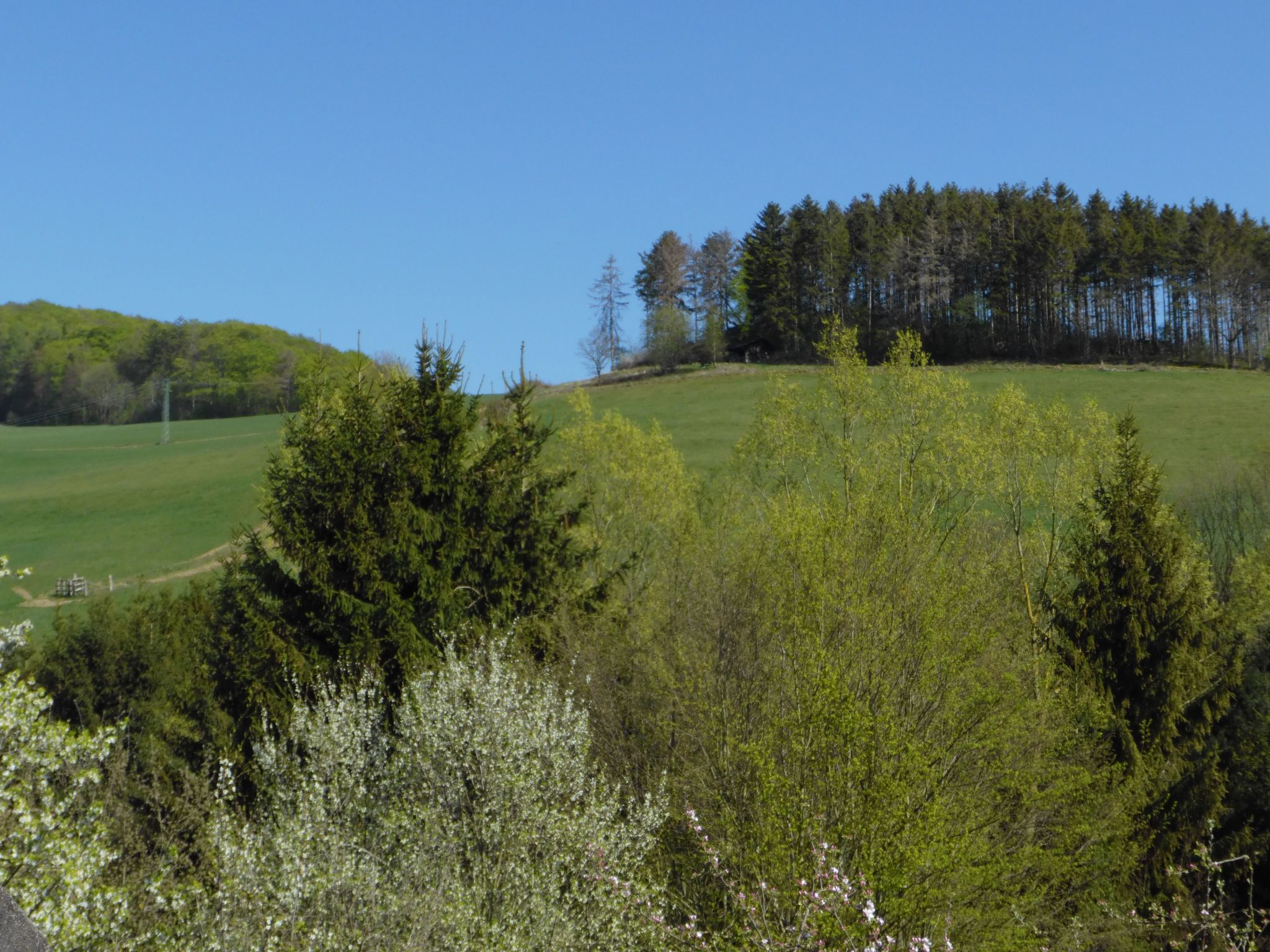 Wohnung in Heringhausen mit Grill-Drinnen