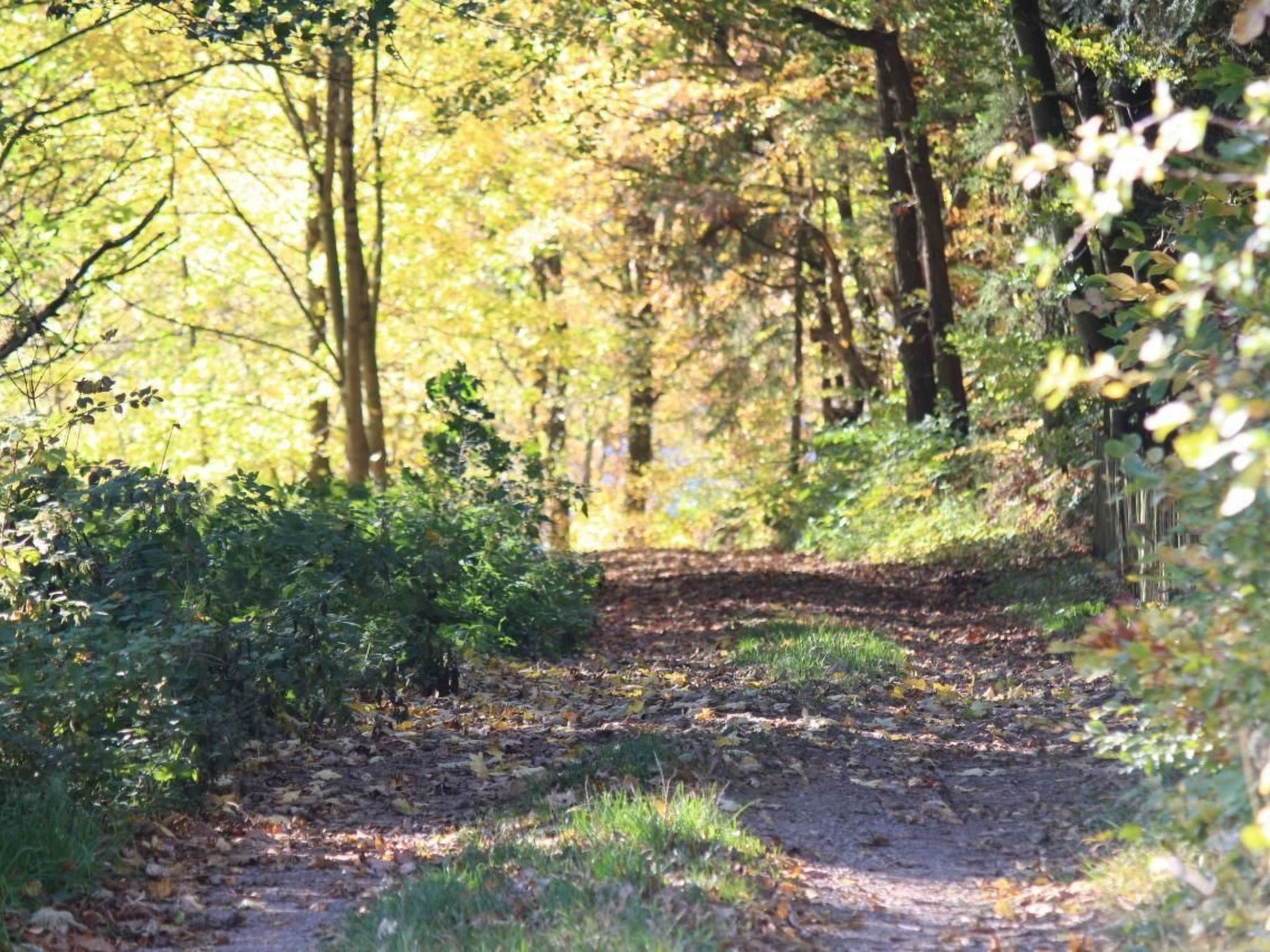 Wohnung in Heringhausen mit Grill-Drinnen