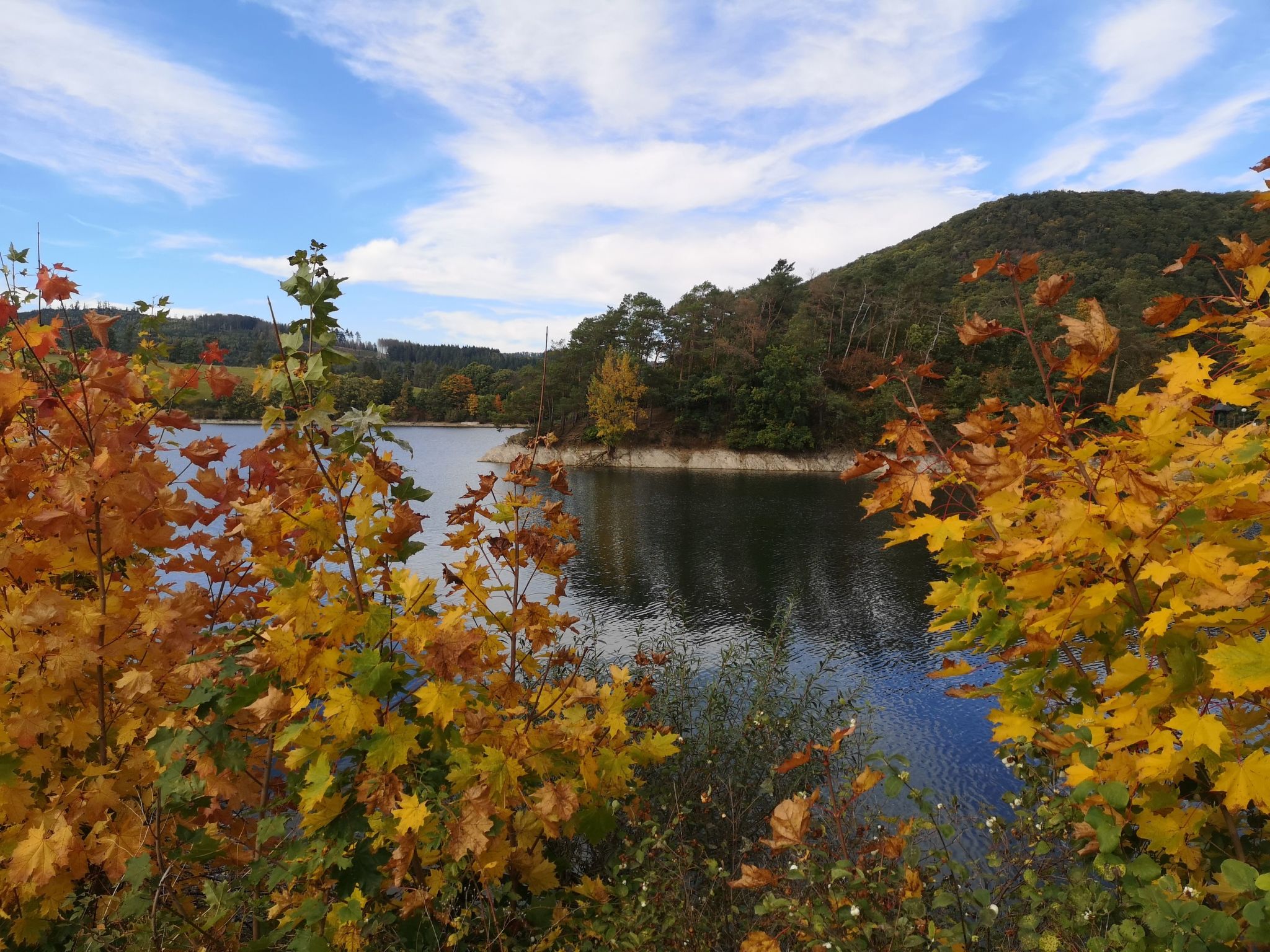Diemelseeholiday Ferienwohnung im Sauerland-Image-tags.info