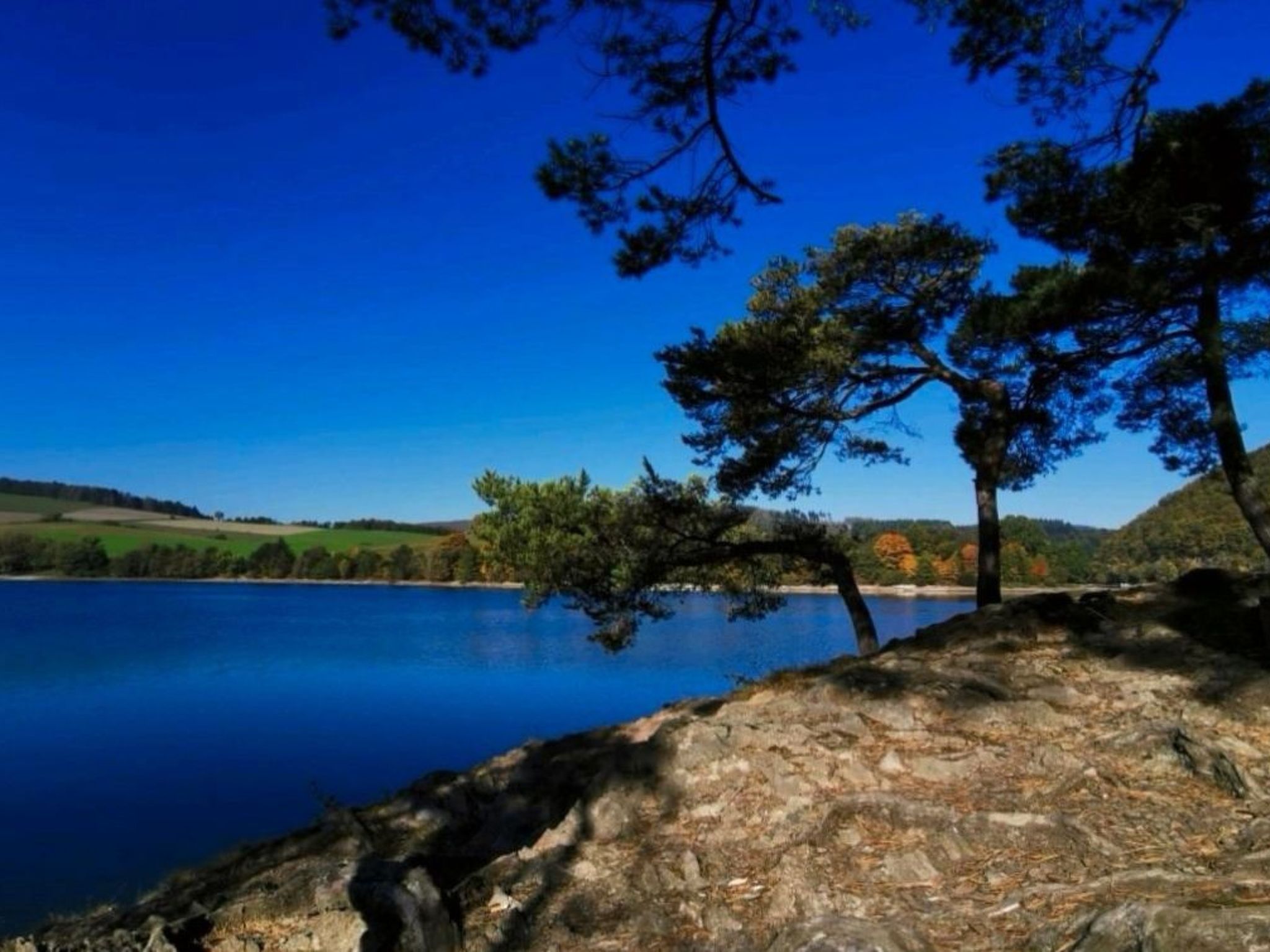 Diemelseeholiday Ferienwohnung im Sauerland-Image-tags.info