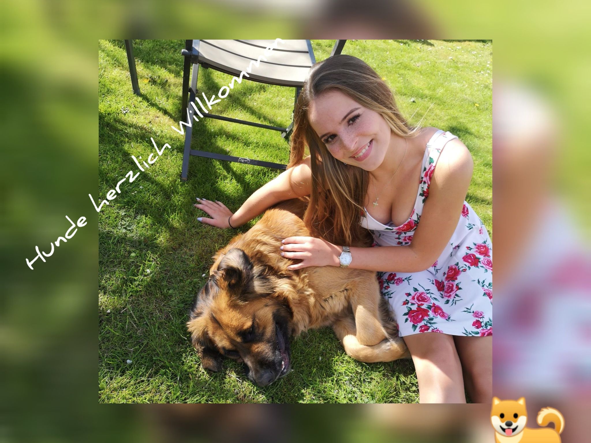 Diemelseeholiday Ferienwohnung im Sauerland-Image-tags.info