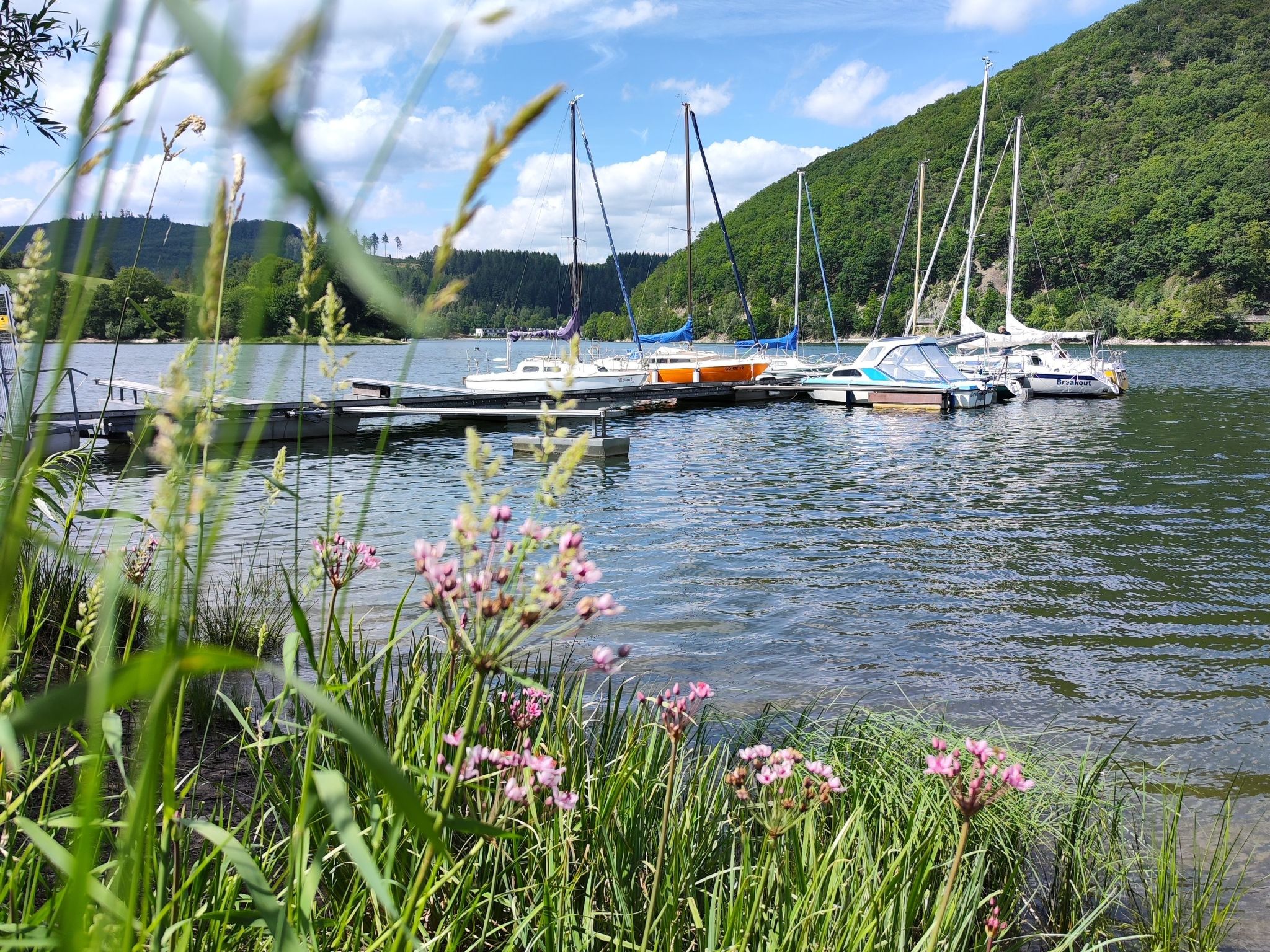 Für 6 Personen ca. 60 m&sup2; in Diemelsee-Heringhausen, Hessen (Hessisches Ber-Image-tags.info