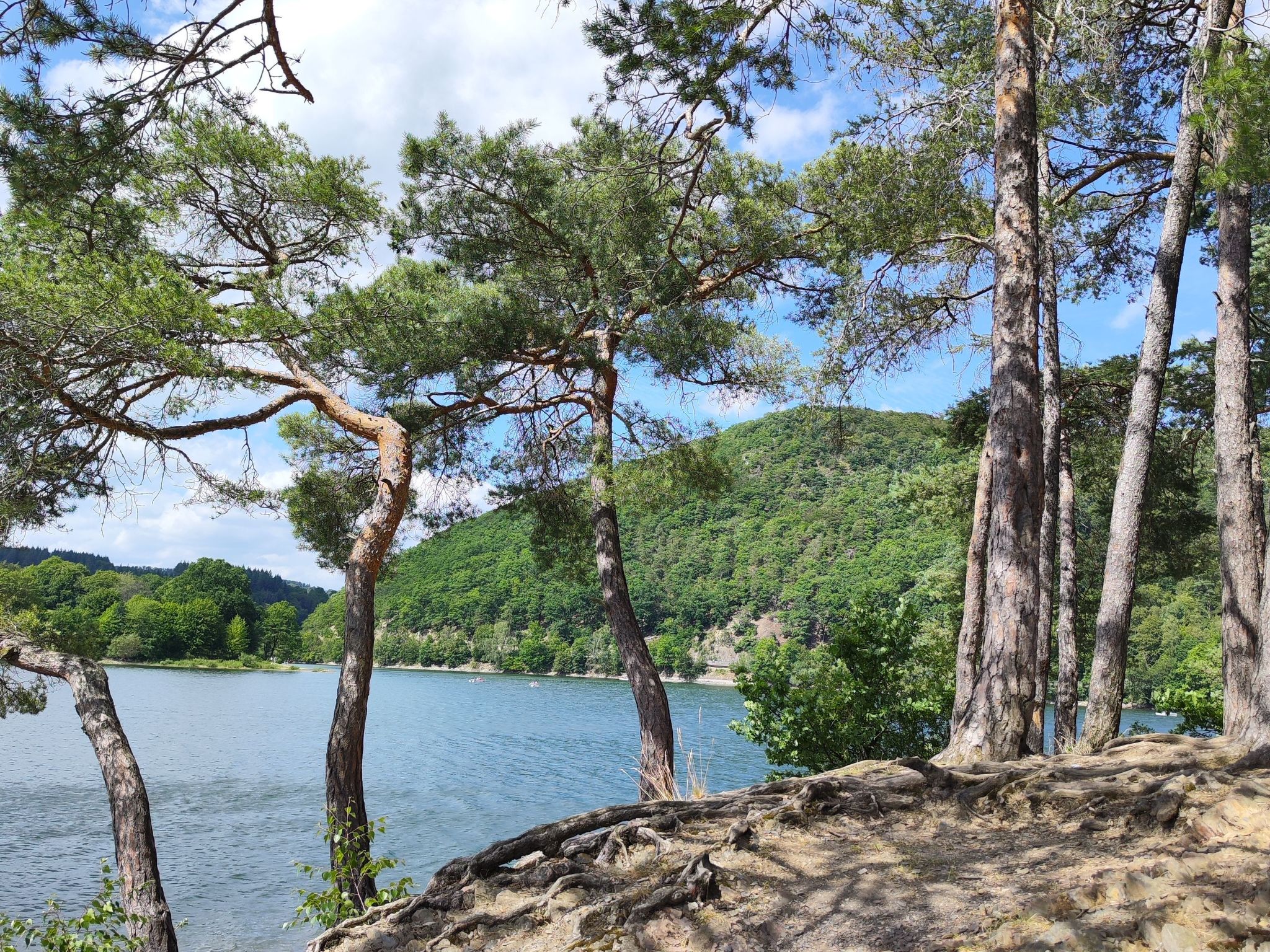 Für 6 Personen ca. 60 m&sup2; in Diemelsee-Heringhausen, Hessen (Hessisches Ber-Image-tags.info