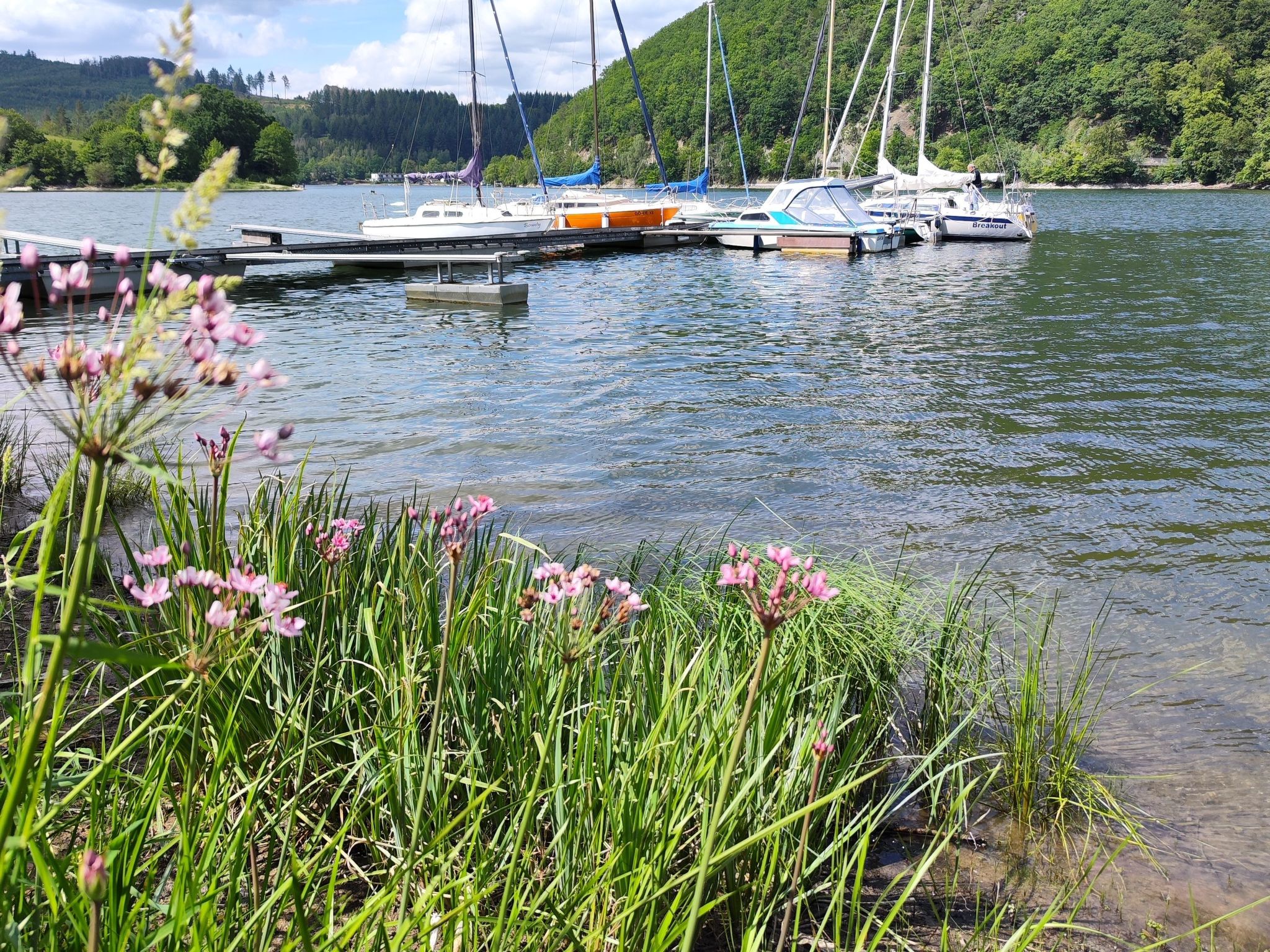Top Ferienwohnung am Diemelsee, Sauerland Nähe Willingen Winterberg-Image-tags.info