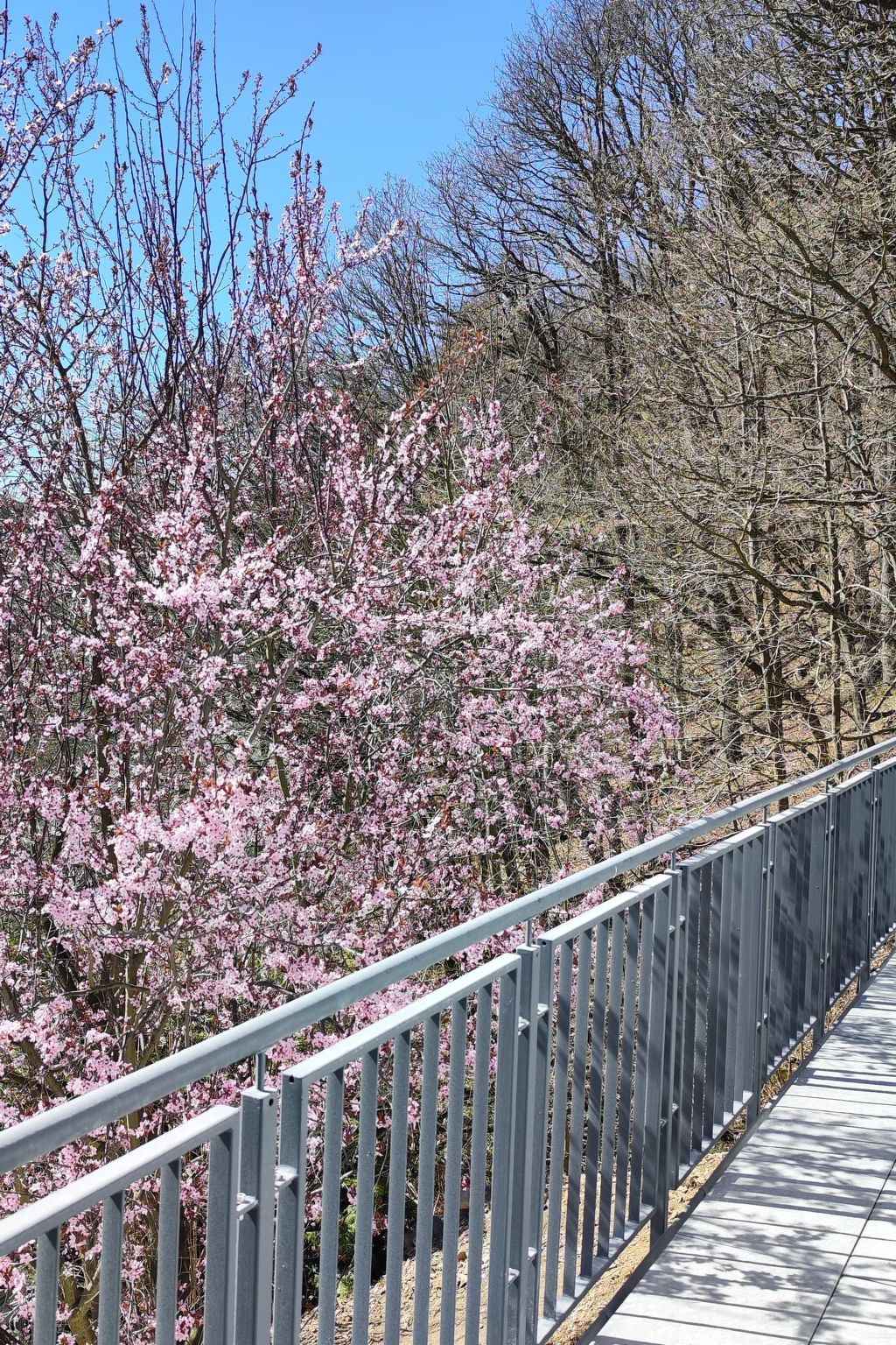 Chalet am Diemelsee-Image-tags.info