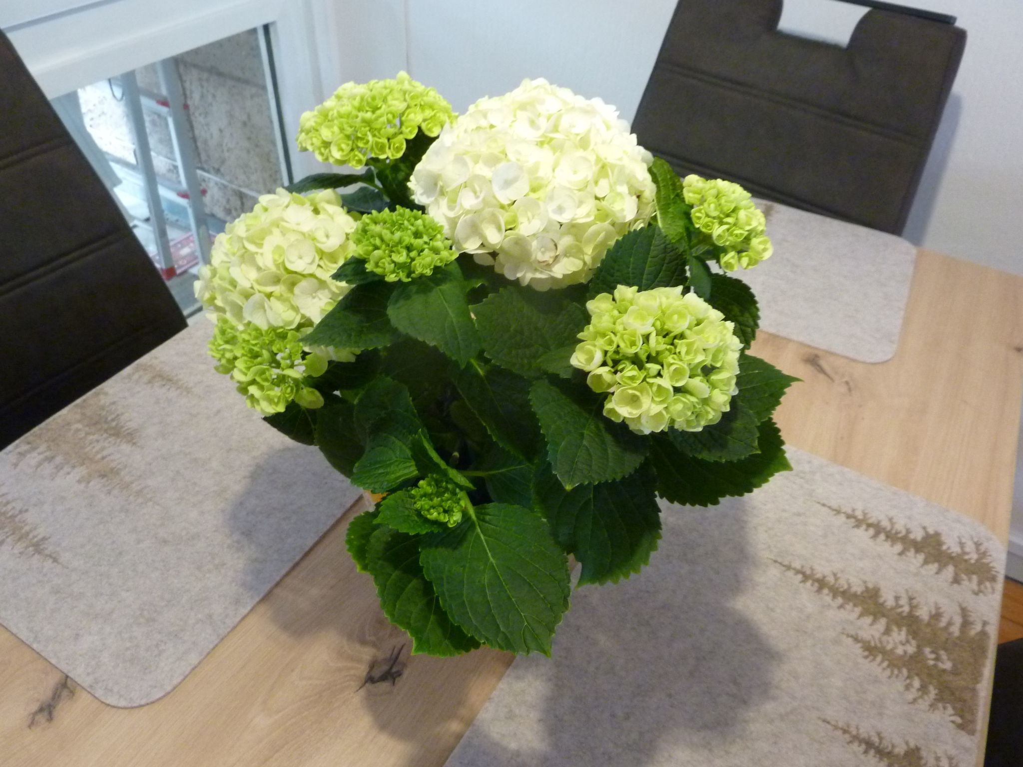 Ferienhas Diemelsee-Binnen