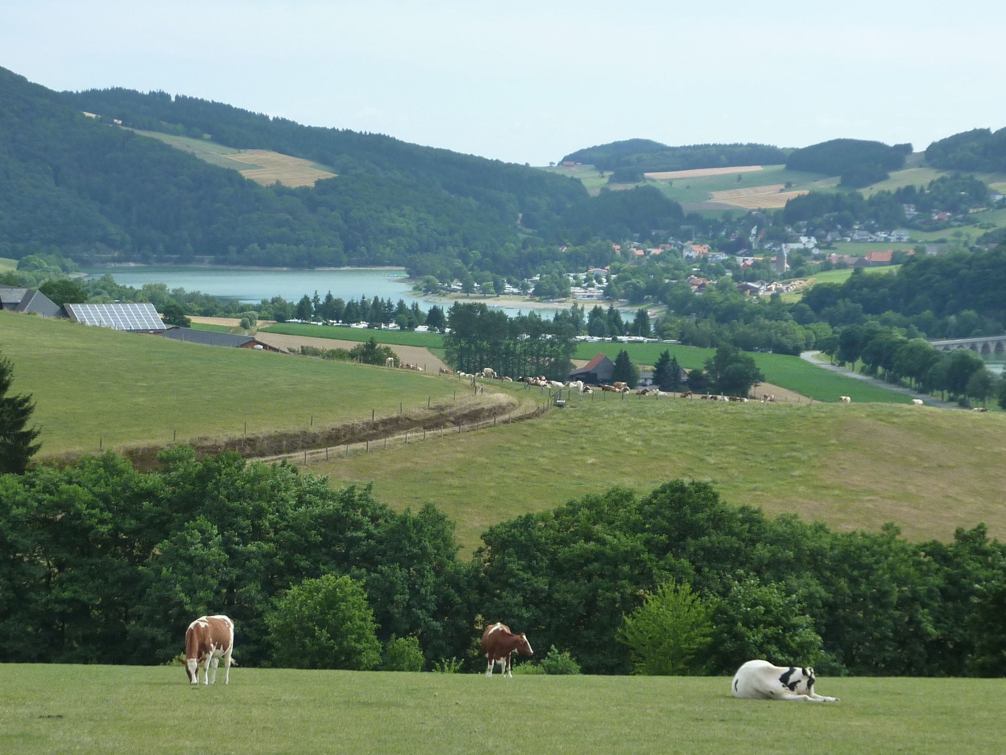 Ferienhas Diemelsee-Binnen