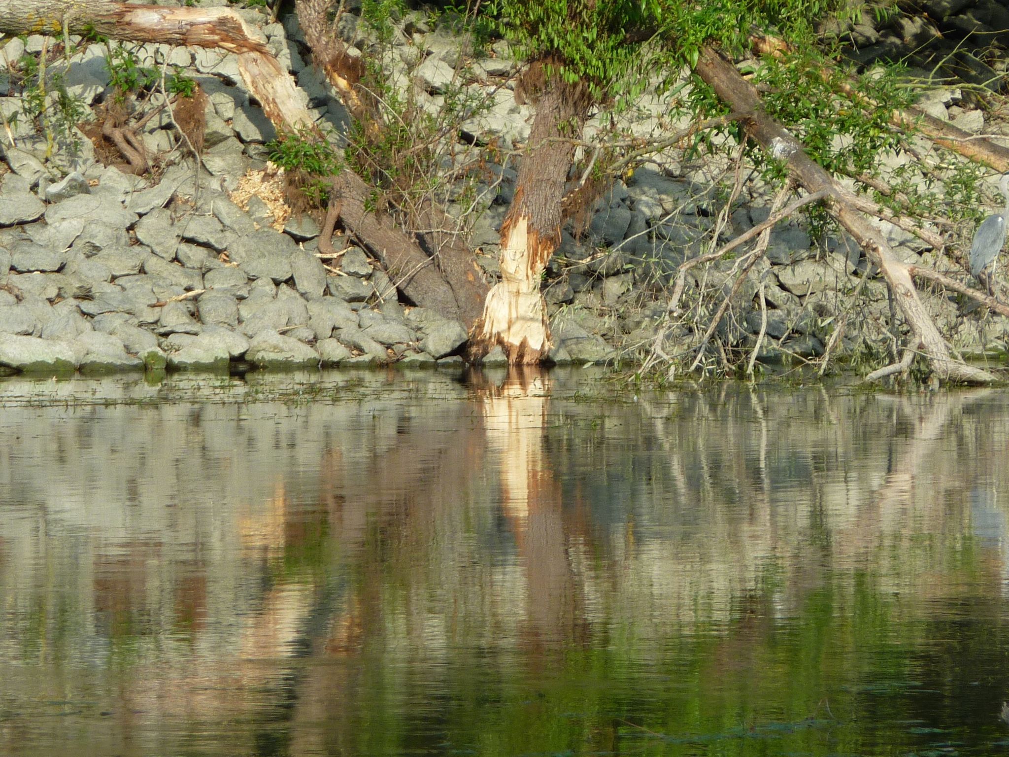 Ferienhas Diemelsee-Binnen
