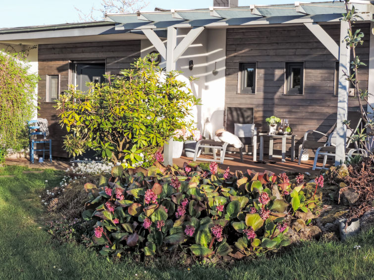 Mit Liebe Ausgestattetes Haus Im Naturpark - Waldeck