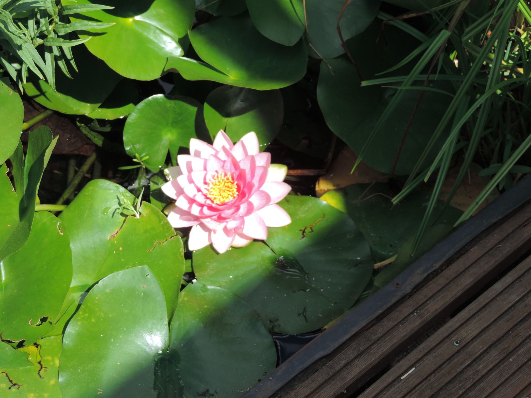 Mit Liebe ausgestattetes Haus im Naturpark-Binnen