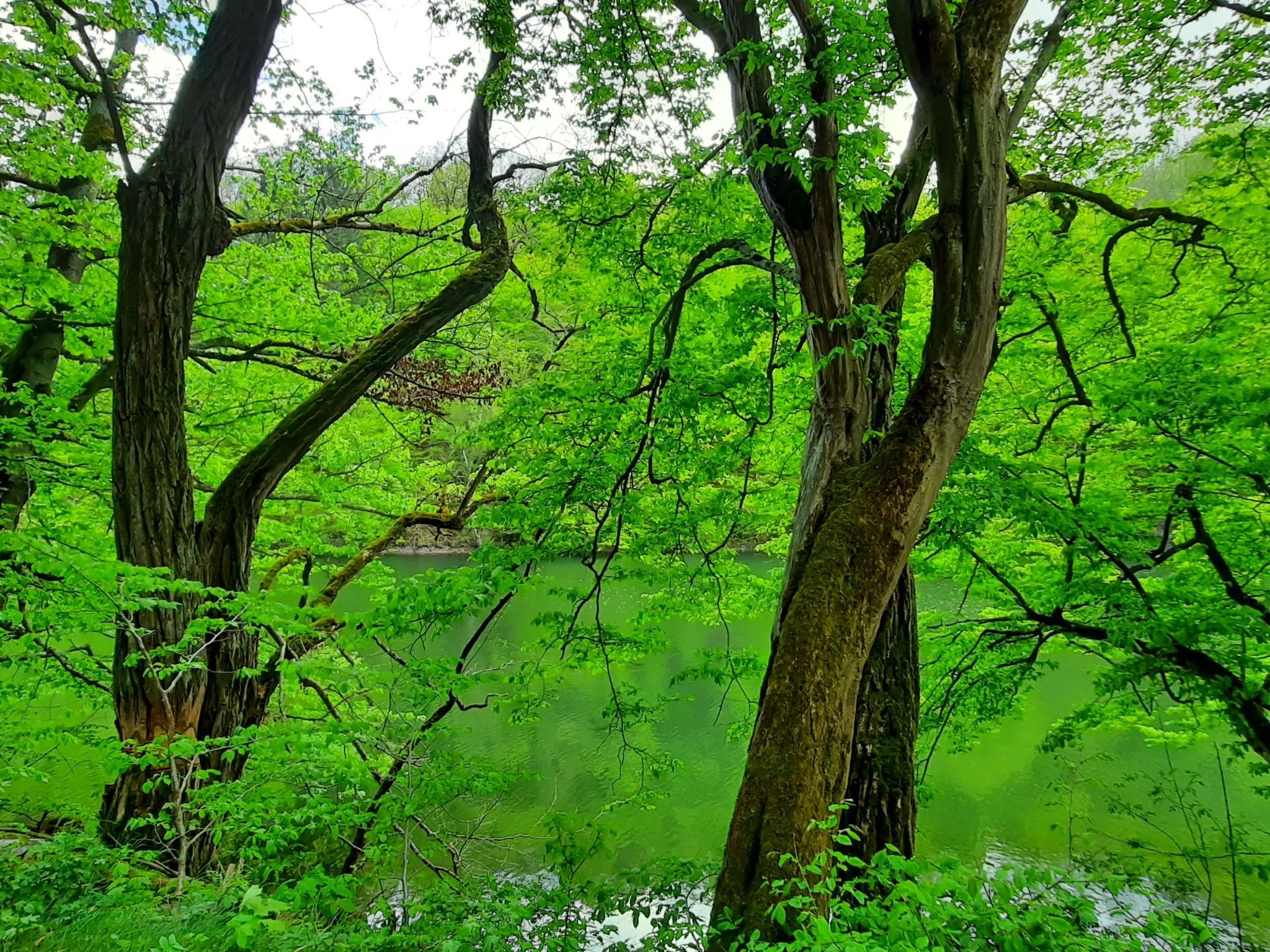 Mit Liebe ausgestattetes Haus im Naturpark-Binnen