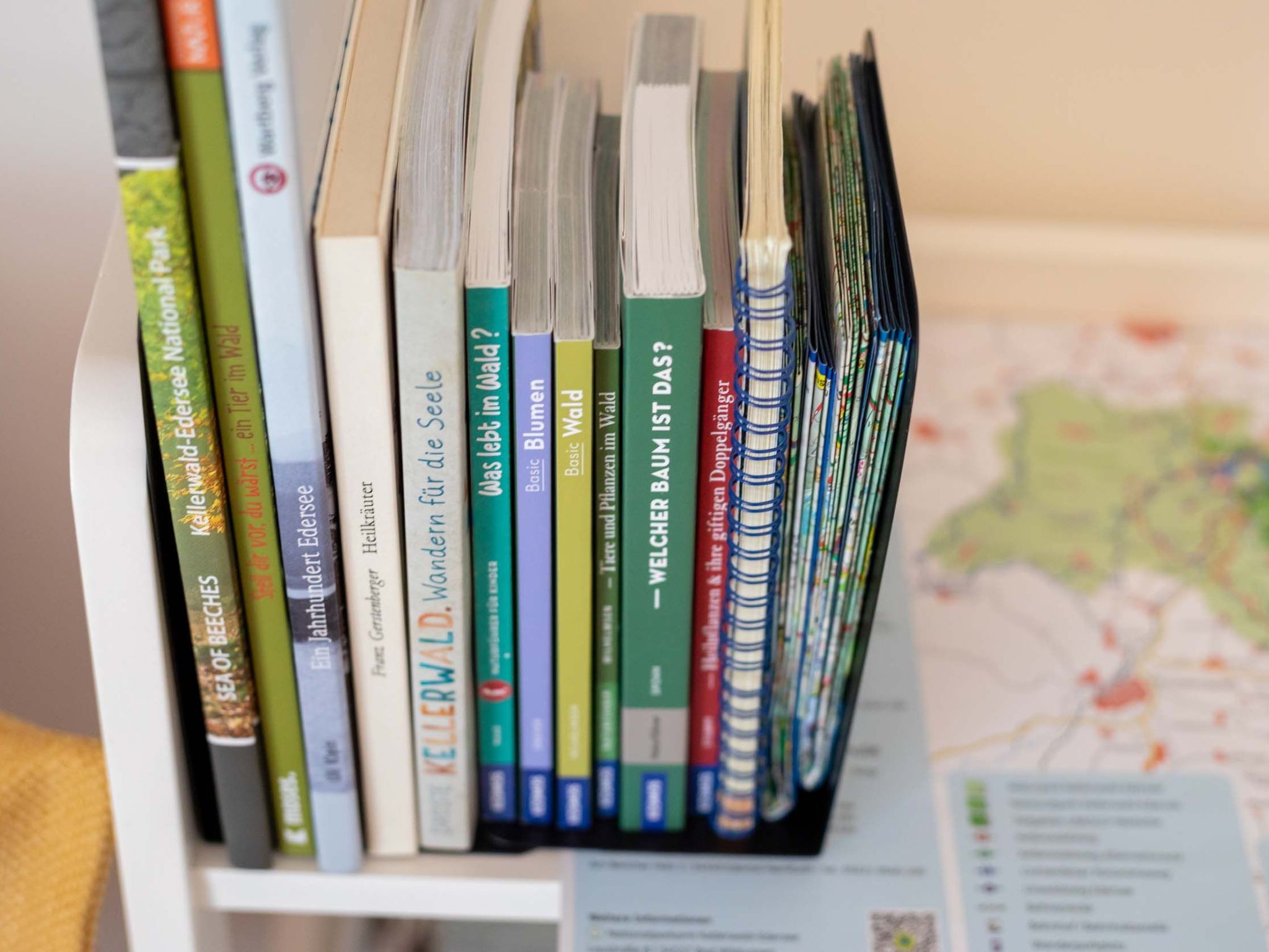 Overlook Lodge-Image-tags.info