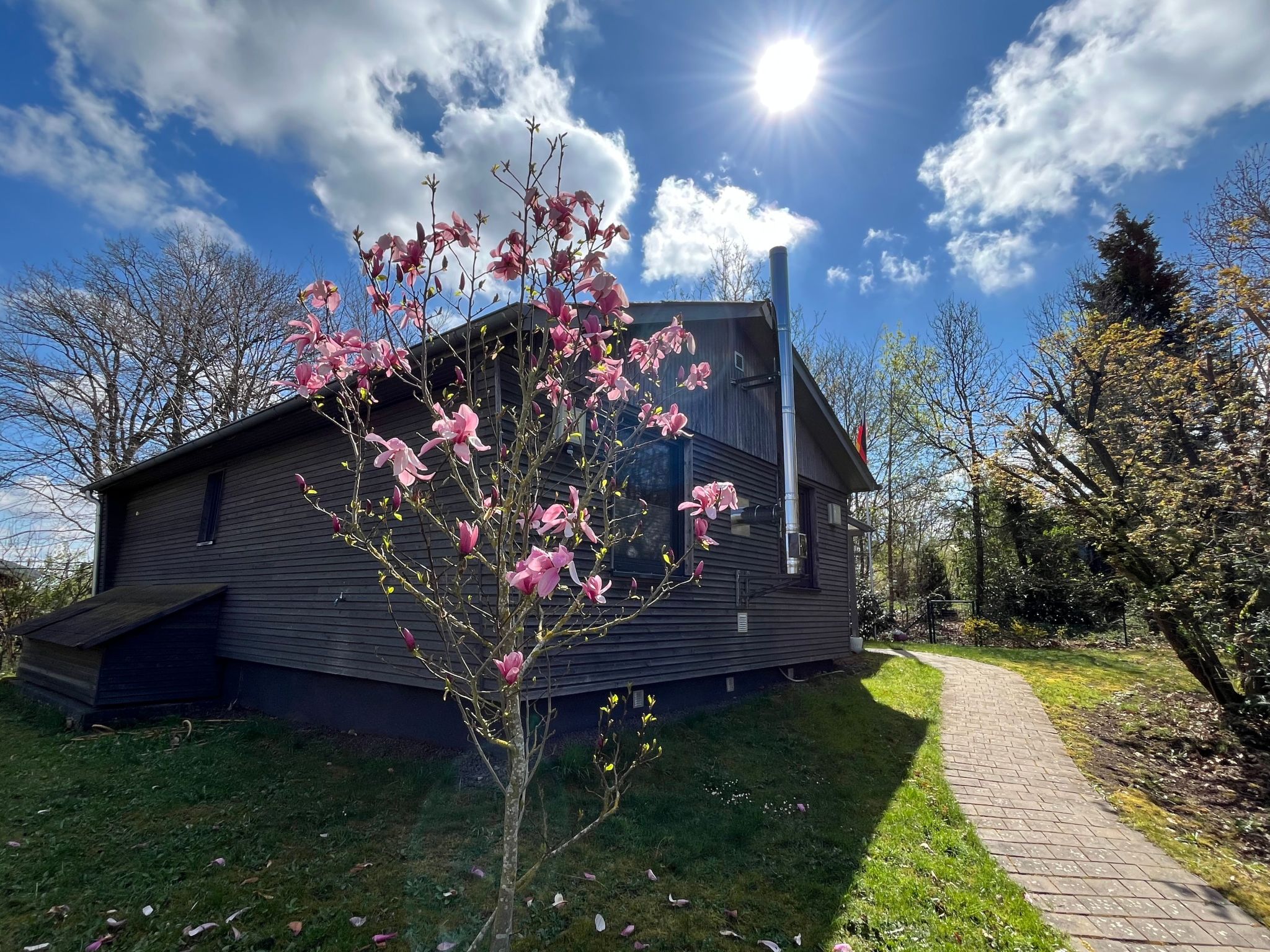 Waldblick in Vöhl-Basdorf-Inside