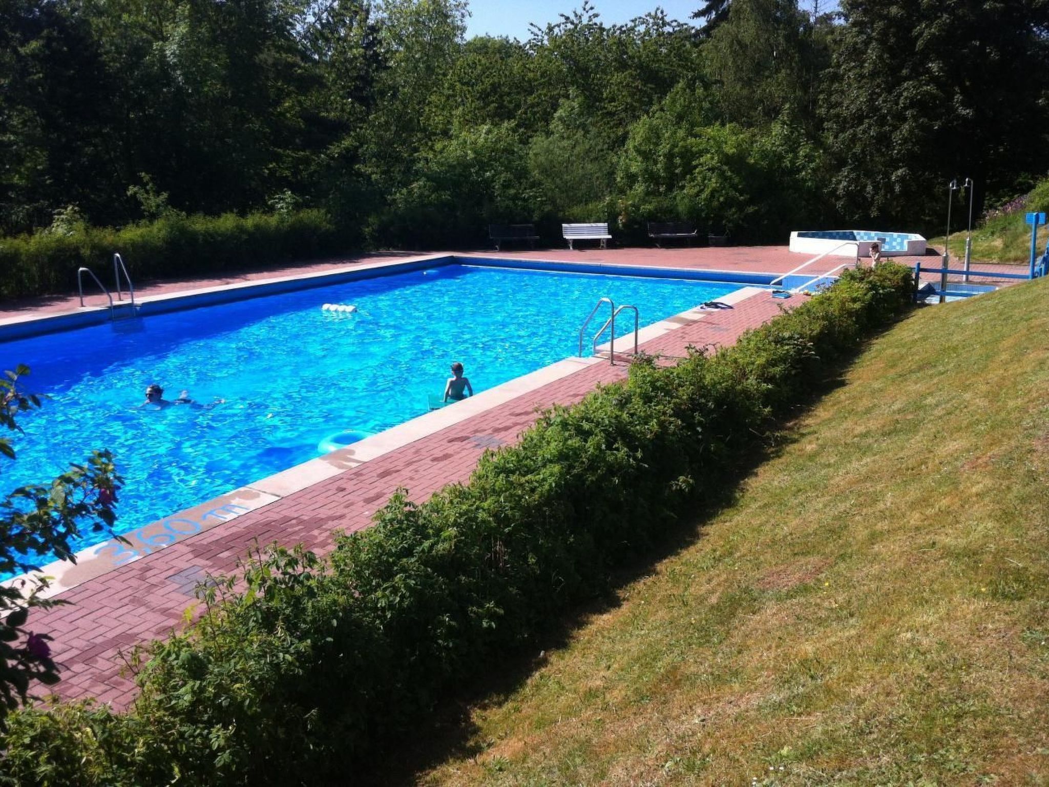 Waldblick in Vöhl-Basdorf-Inside