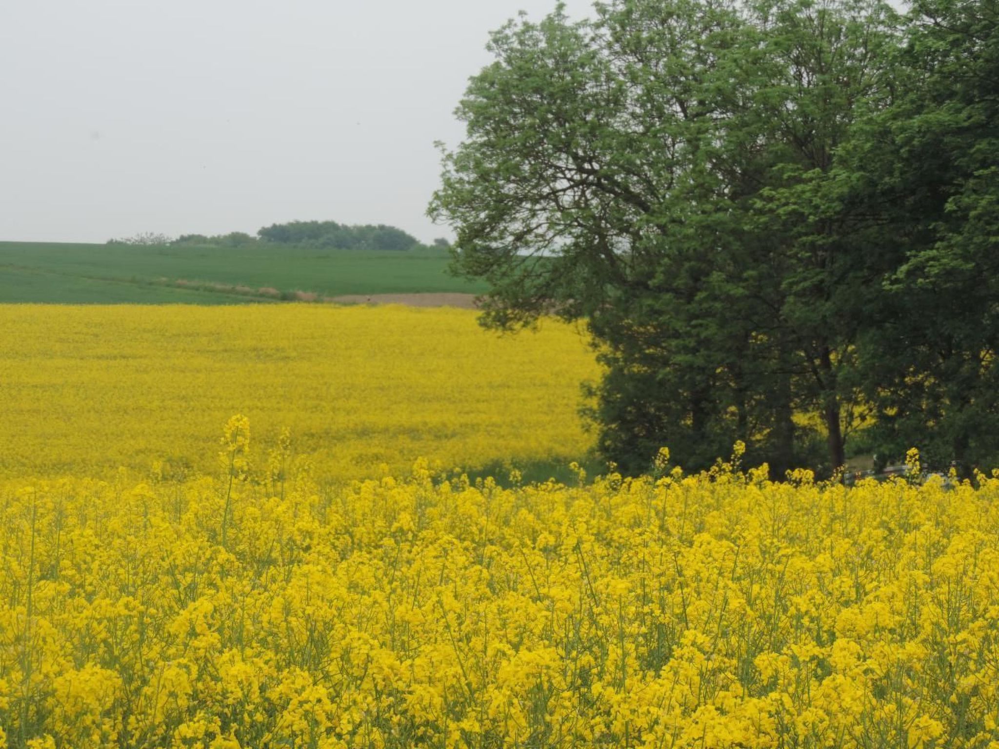 Waldblick in Vöhl-Basdorf-Inside
