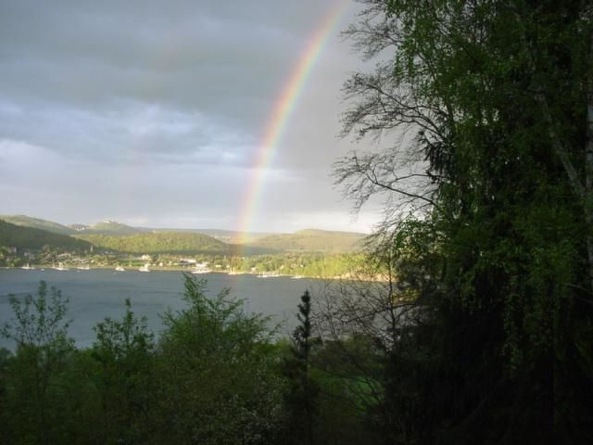 Waldblick in Vöhl-Basdorf-Inside