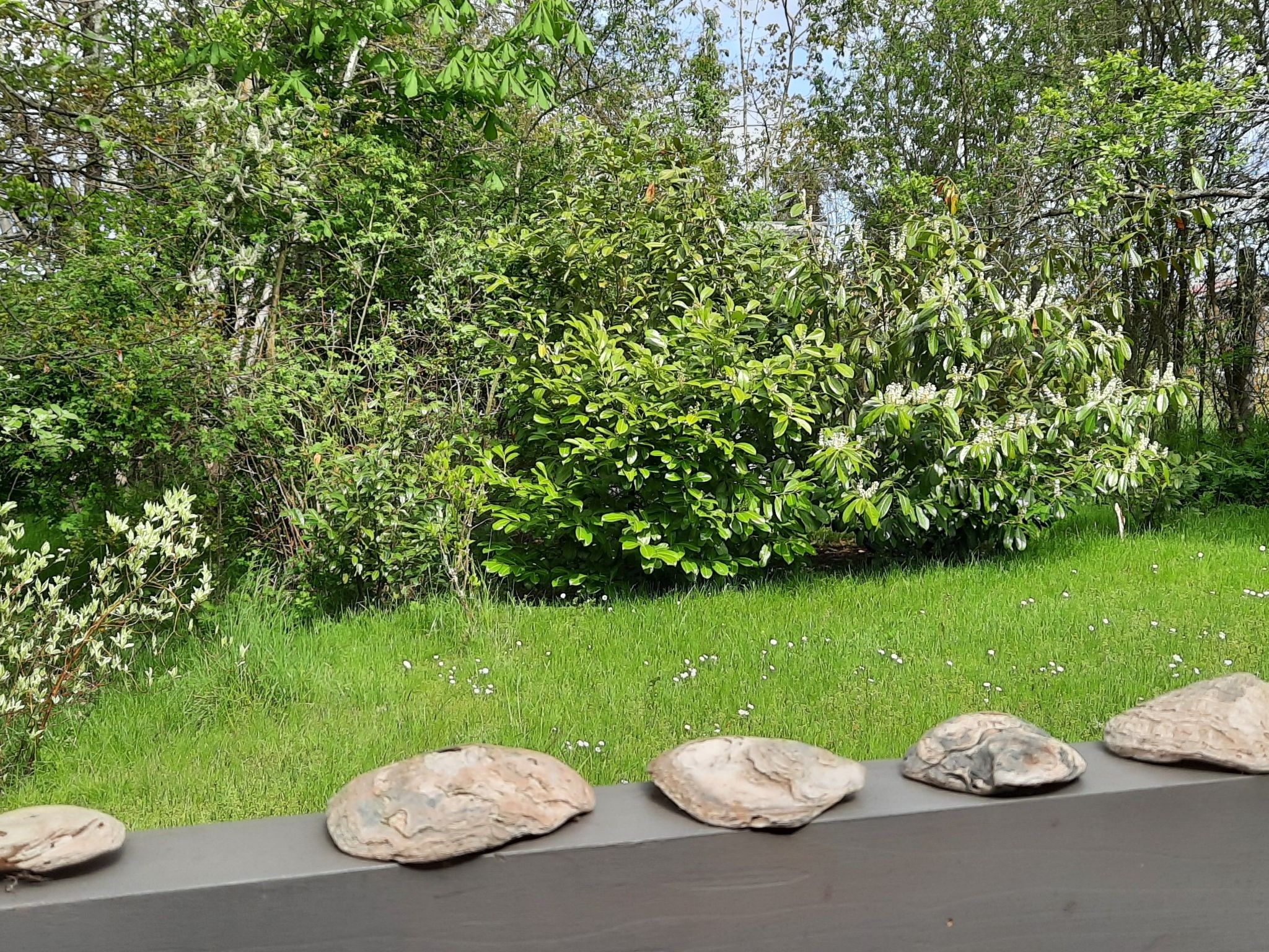 Gartenblick in Vöhl-Basdorf-Inside