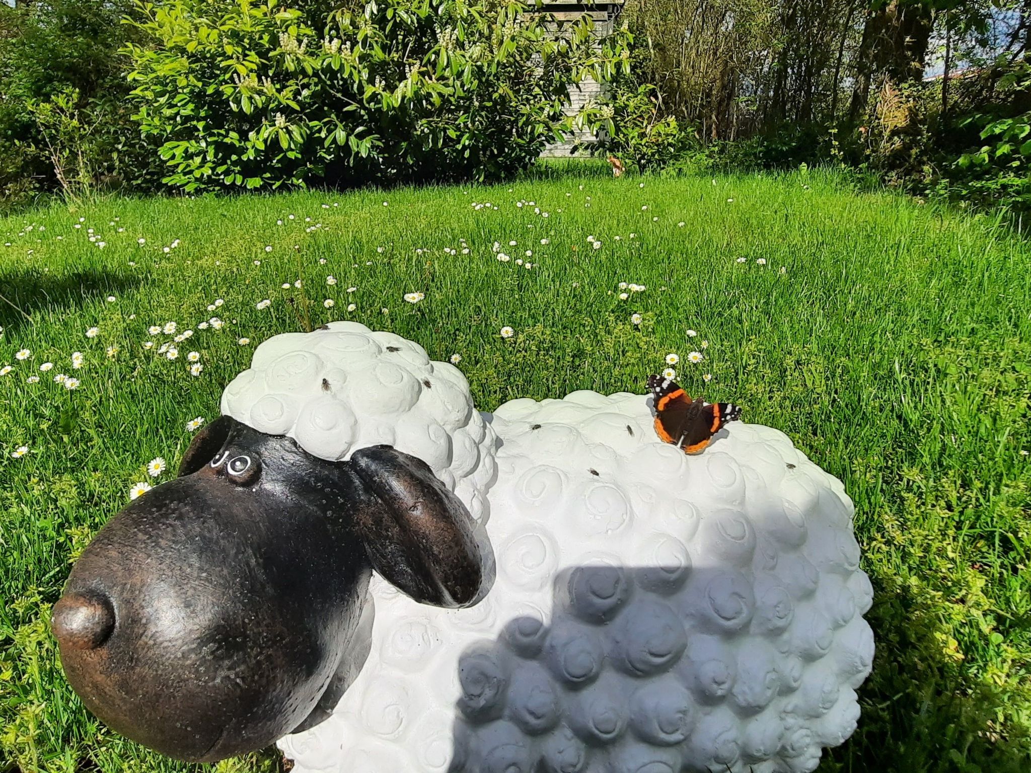 Gartenblick in Vöhl-Basdorf-Inside