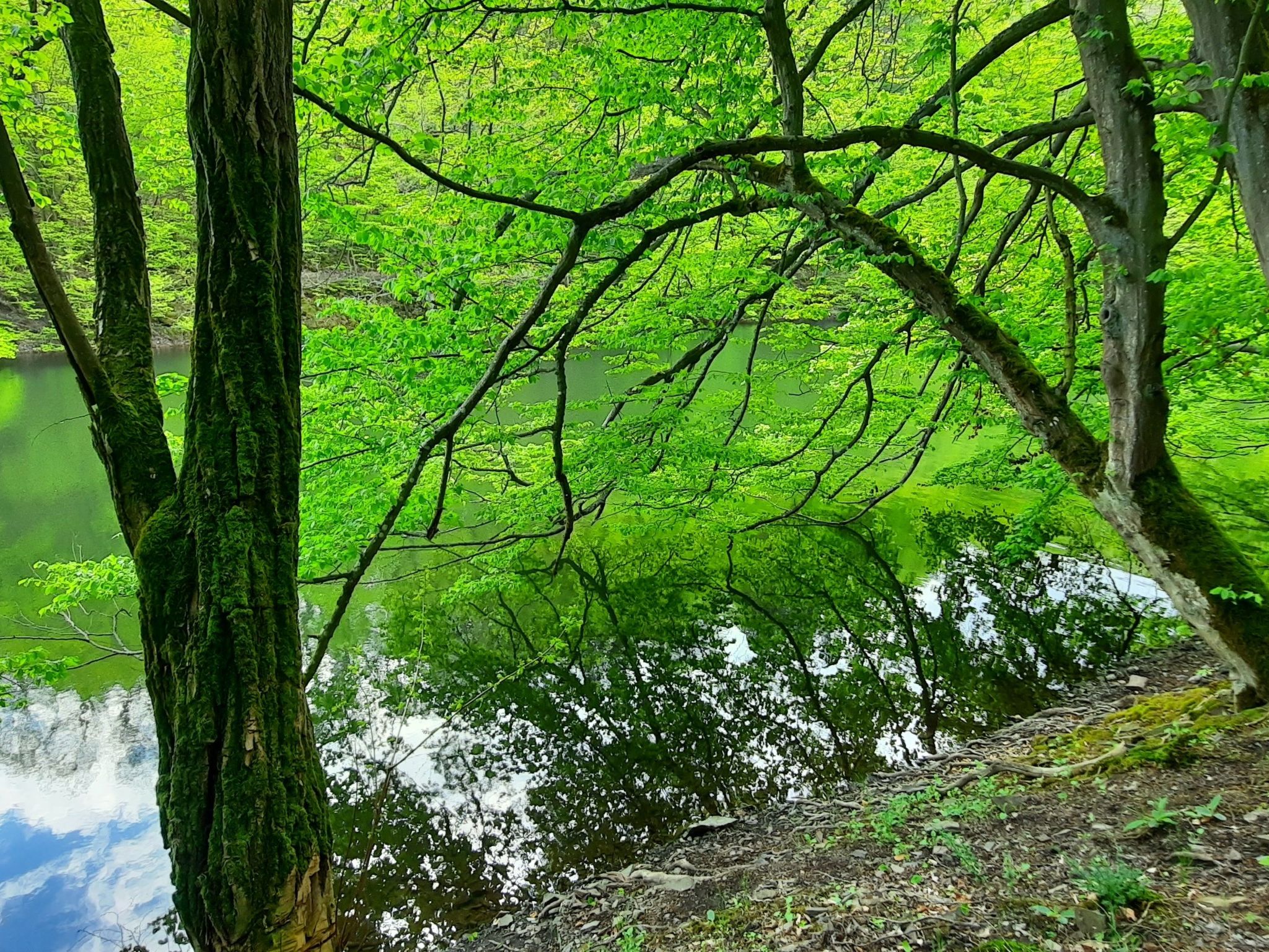 Gartenblick in Vöhl-Basdorf-Inside
