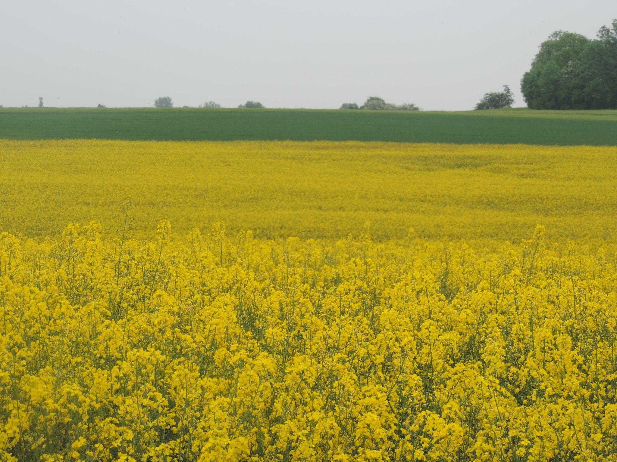 Gartenblick in Vöhl-Basdorf-Inside