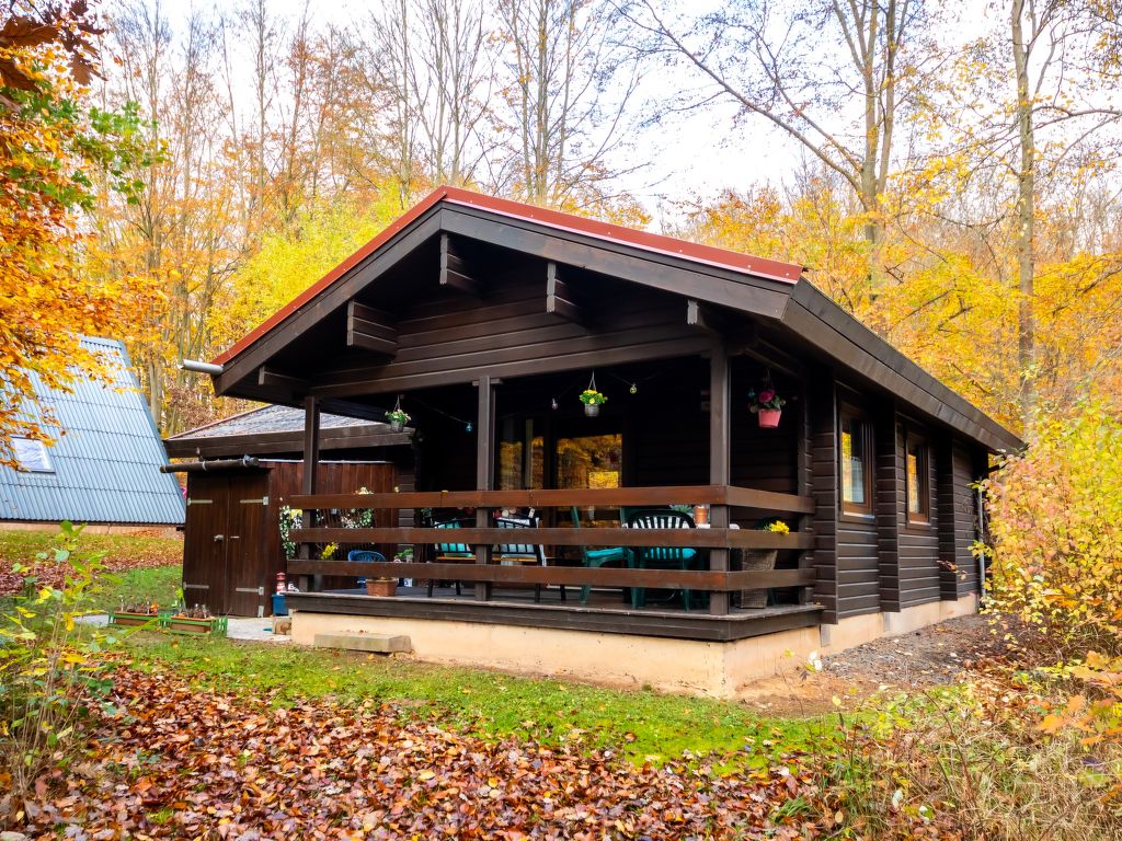 Vakantiehuis Haus 57 Wald Eck in Duitsland