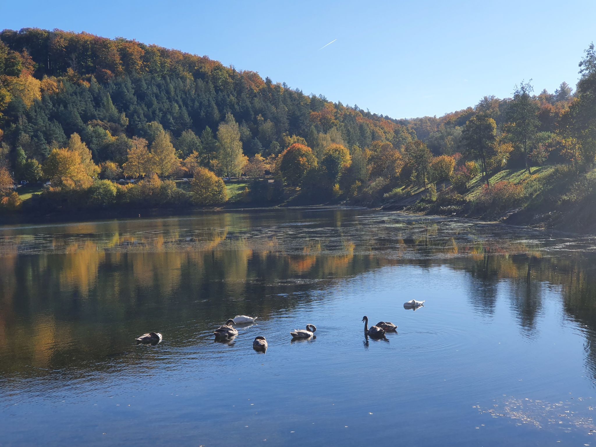 Holiday Rental Accommodation