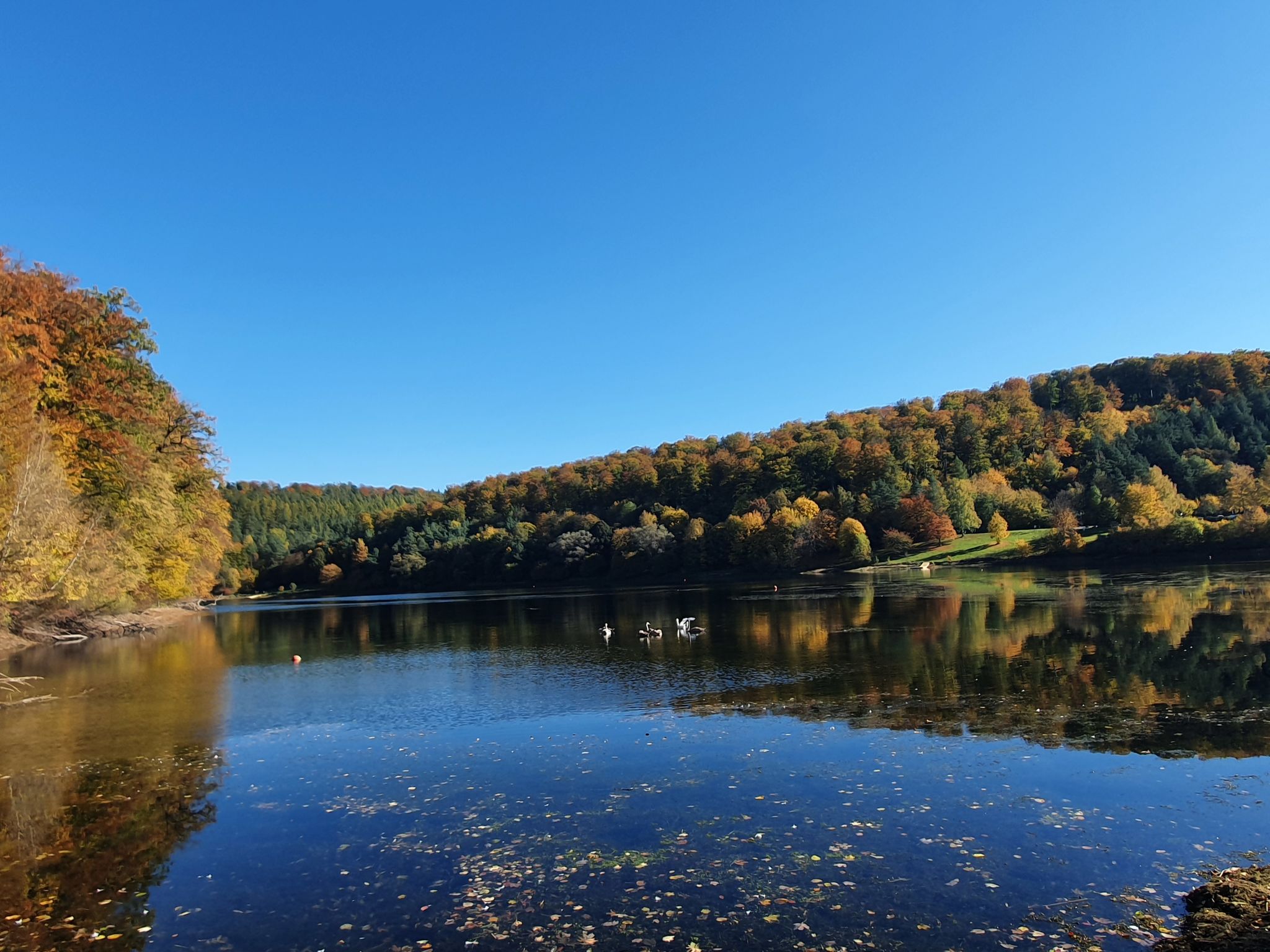 Holiday Rental Accommodation