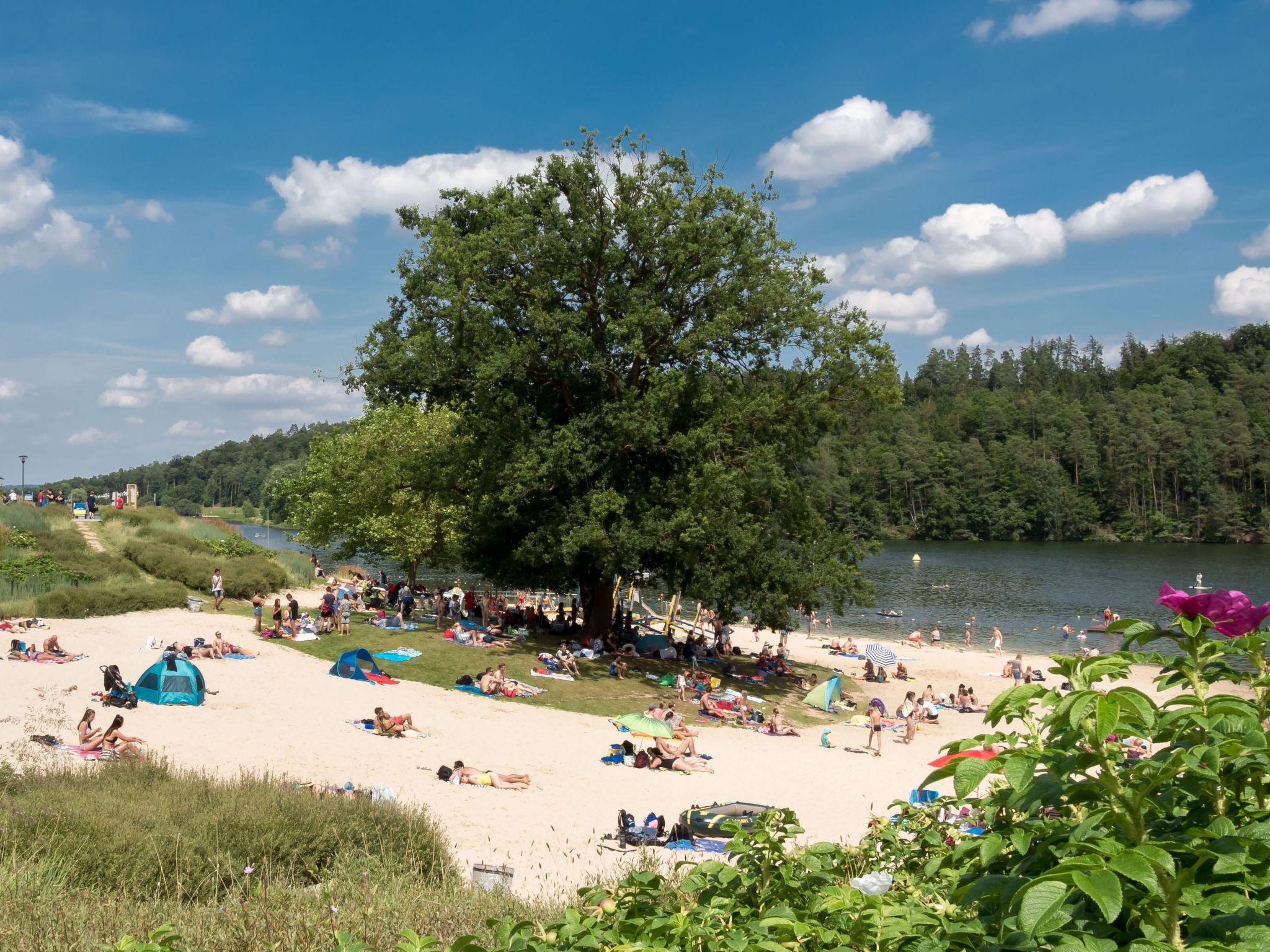 Fewo Hoppenhof 2-Image-tags.info