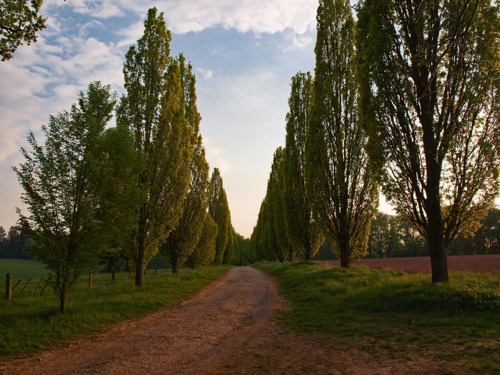 Fewo Hoppenhof 2-Image-tags.info