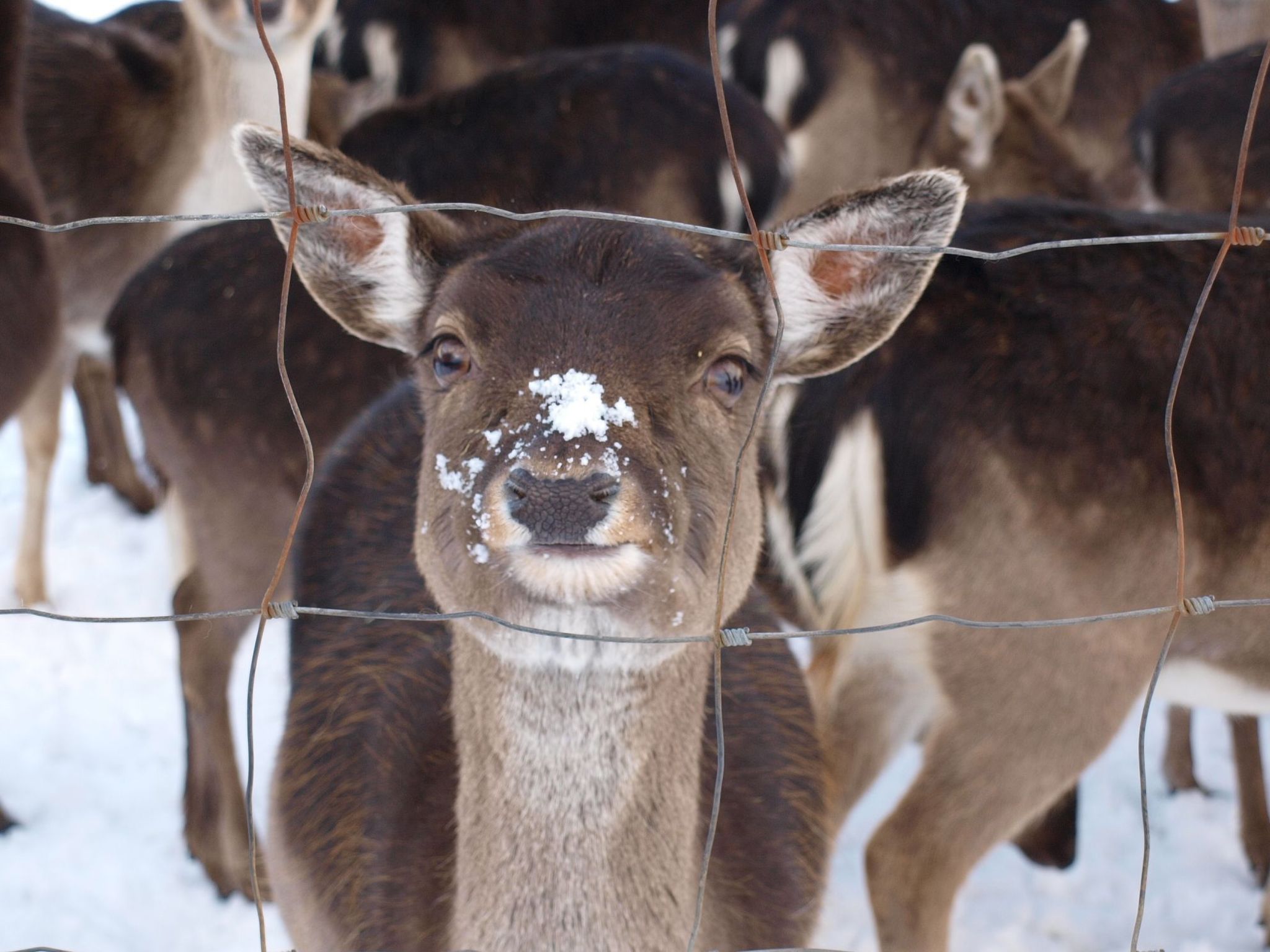 Fewo Hoppenhof 1-Image-tags.info