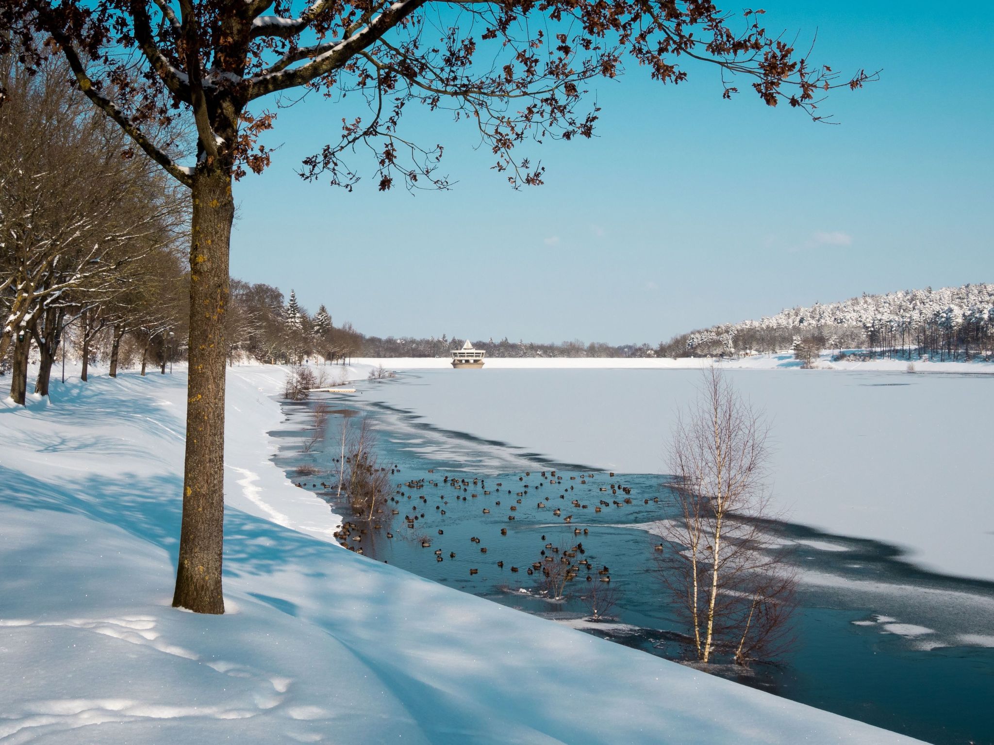 Fewo Hoppenhof 1-Image-tags.info