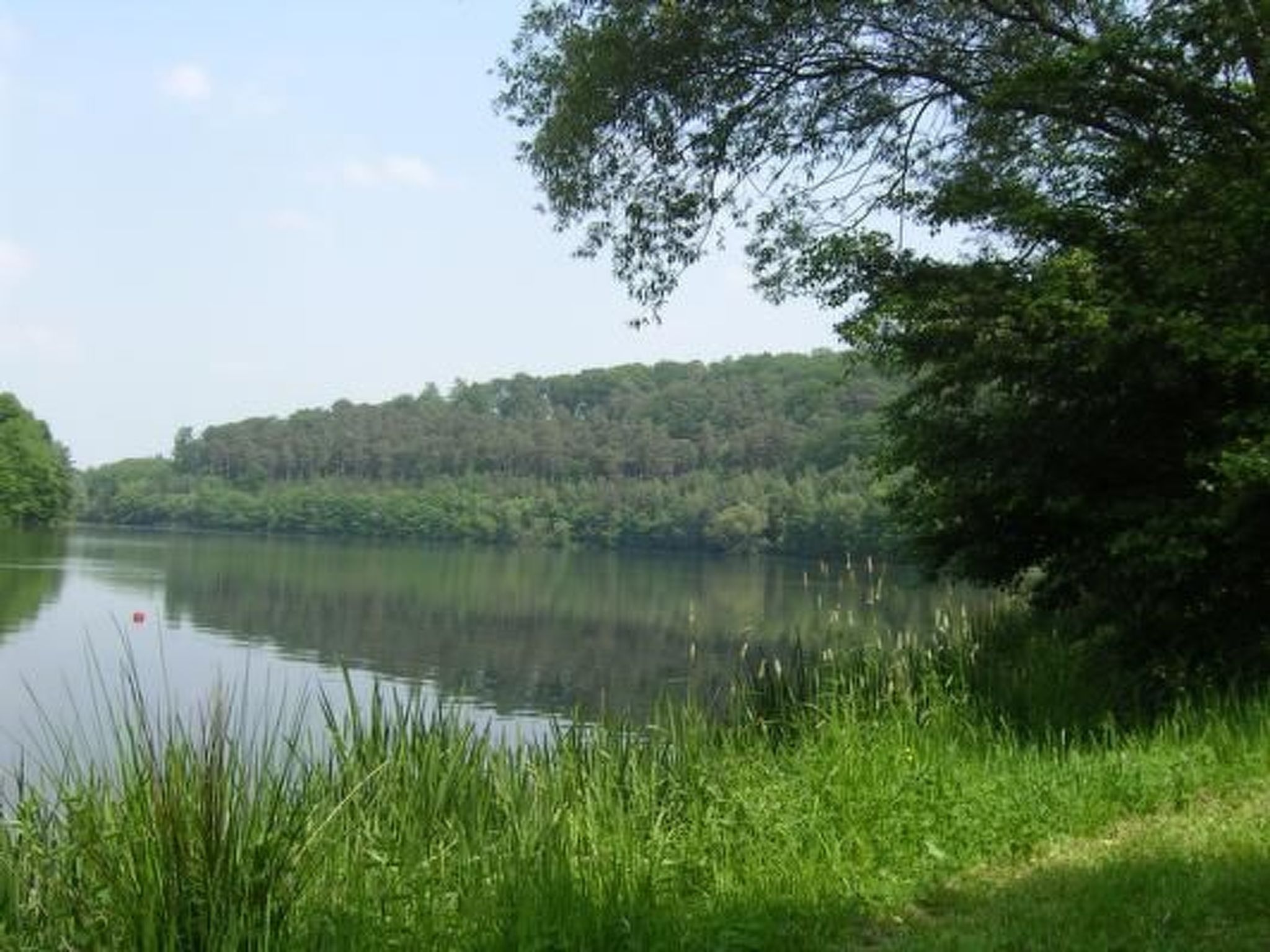 Wunderschönes Ferienhaus am Waldrand-Binnen
