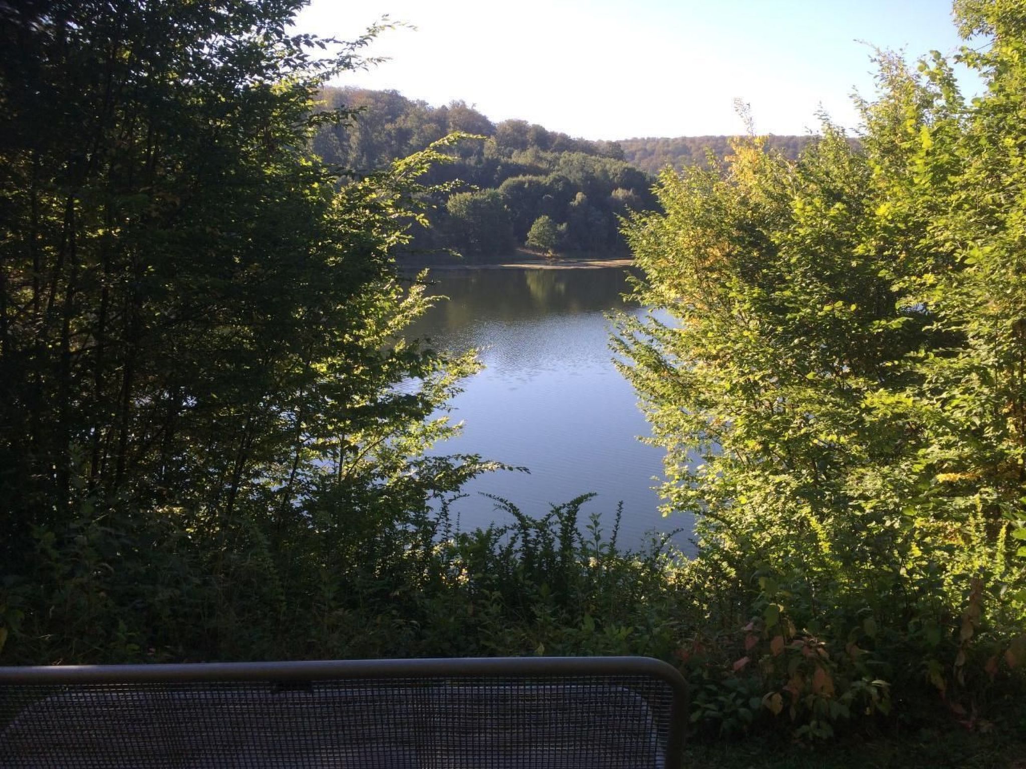 Wunderschönes Ferienhaus am Waldrand-Binnen