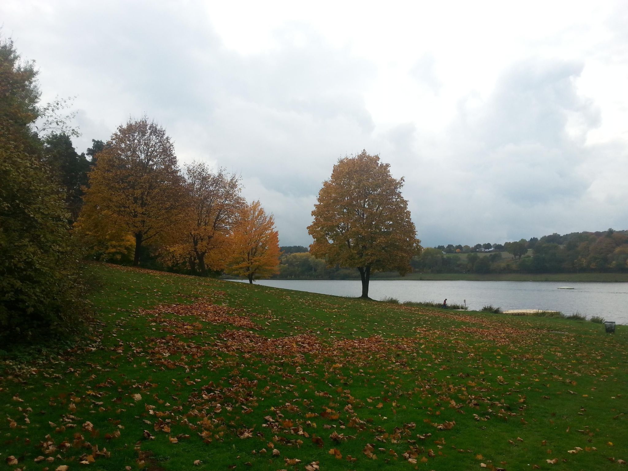 Wunderschönes Ferienhaus am Waldrand-Binnen