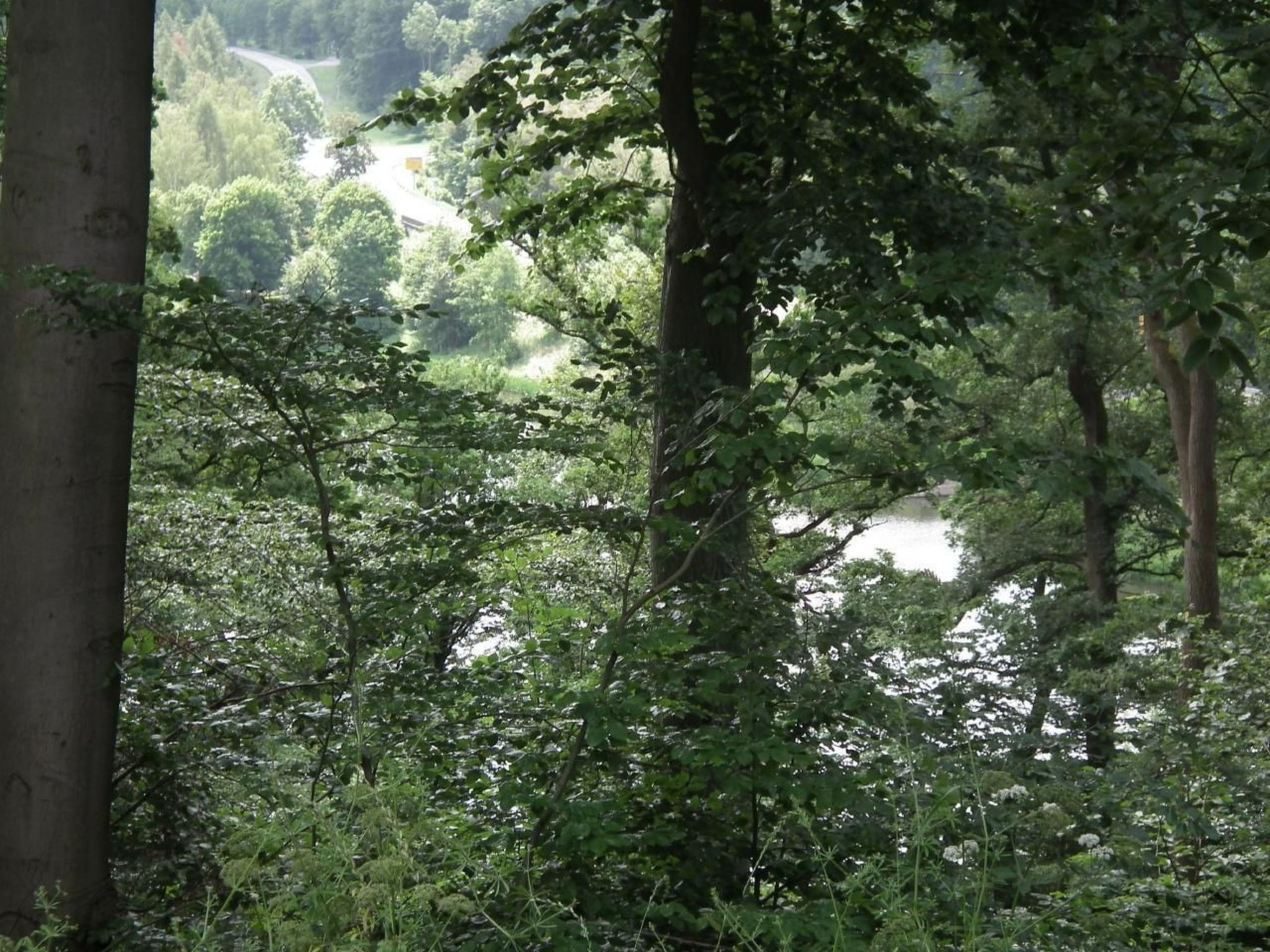 Wunderschönes Ferienhaus am Waldrand-Binnen